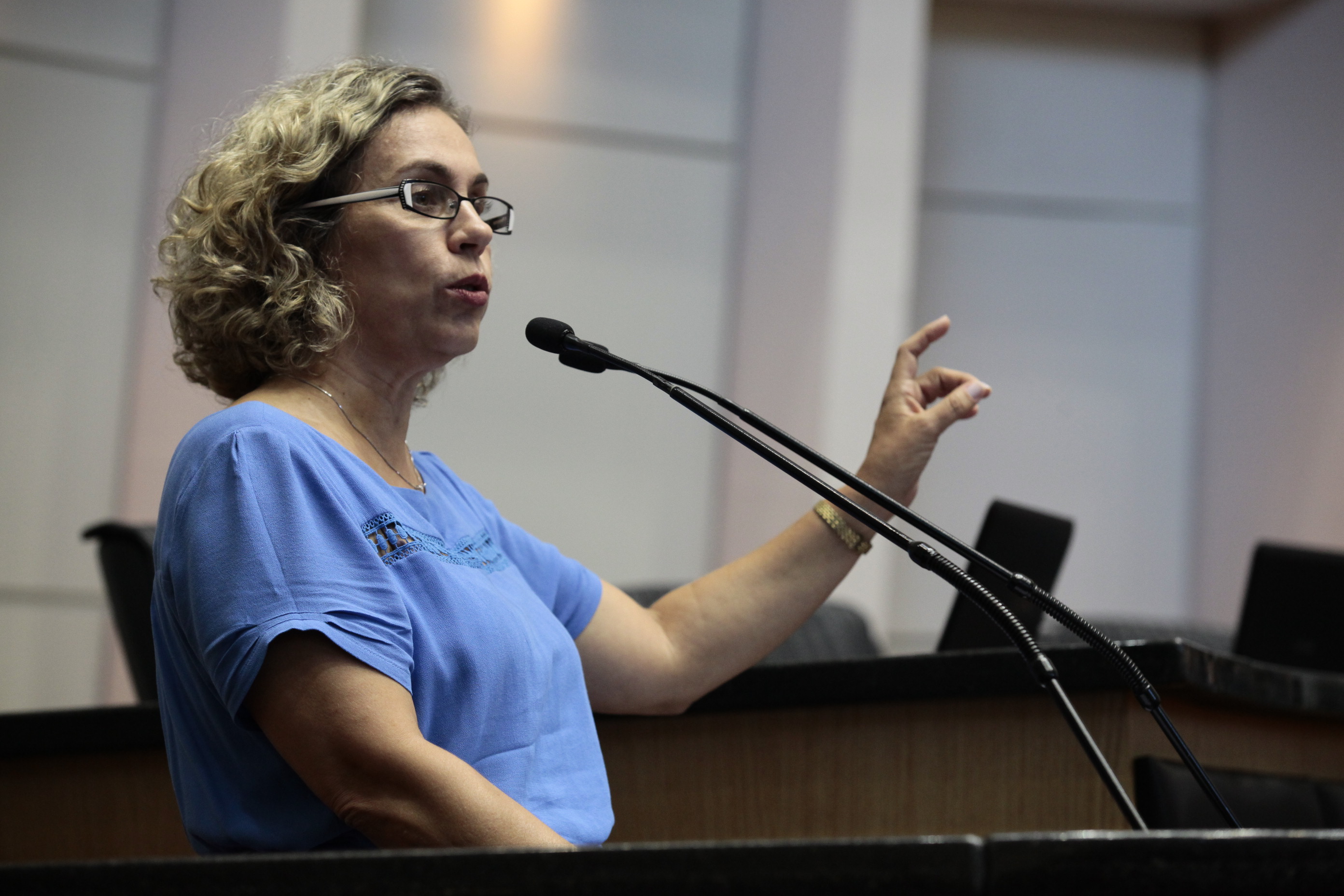 Sessão Ordinária. Deputada Ana Paula Lima (PT)