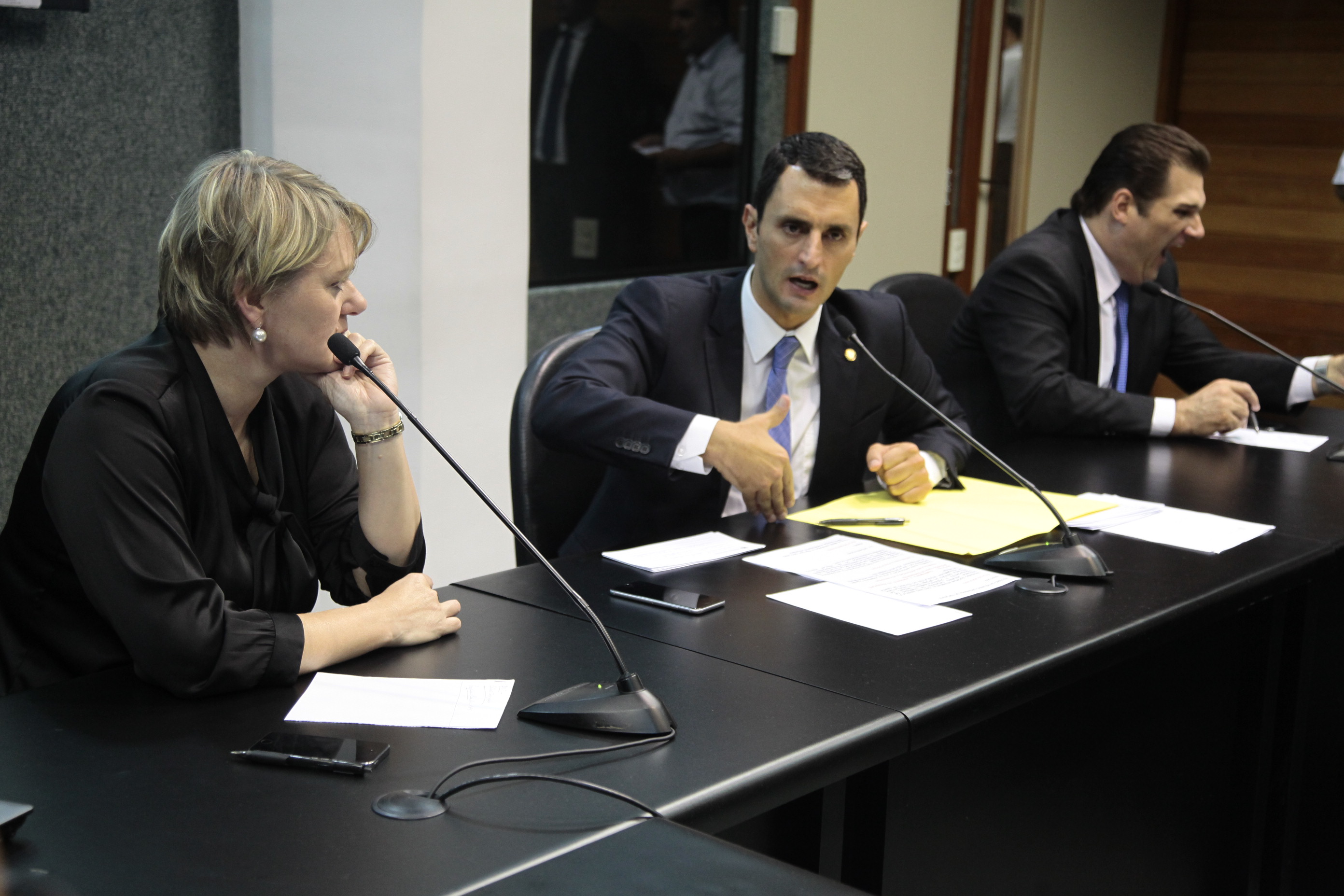 Reunião da Comissão de Transportes e Desenvolvimento Urbano.