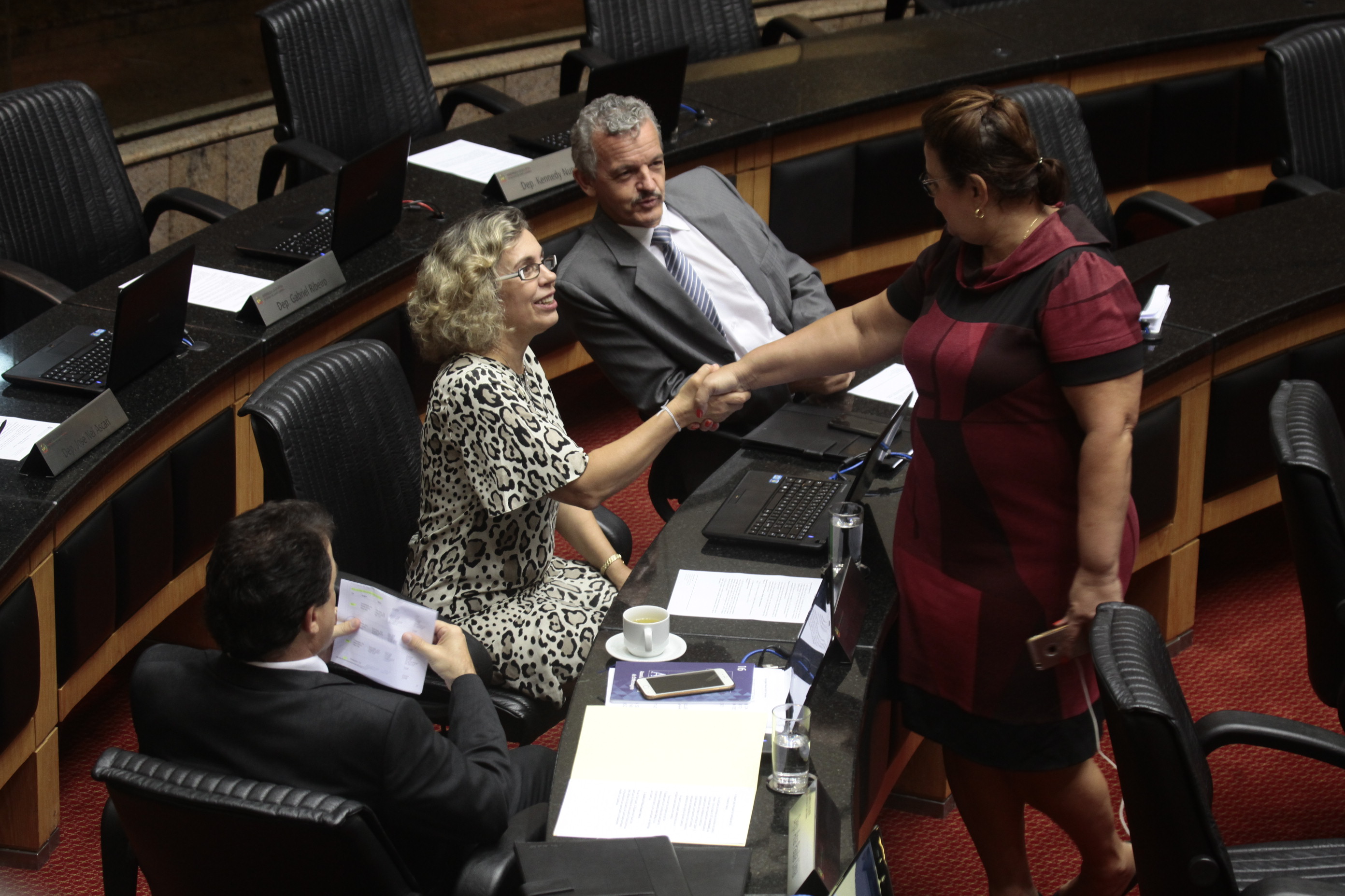 Sessão Ordinária.