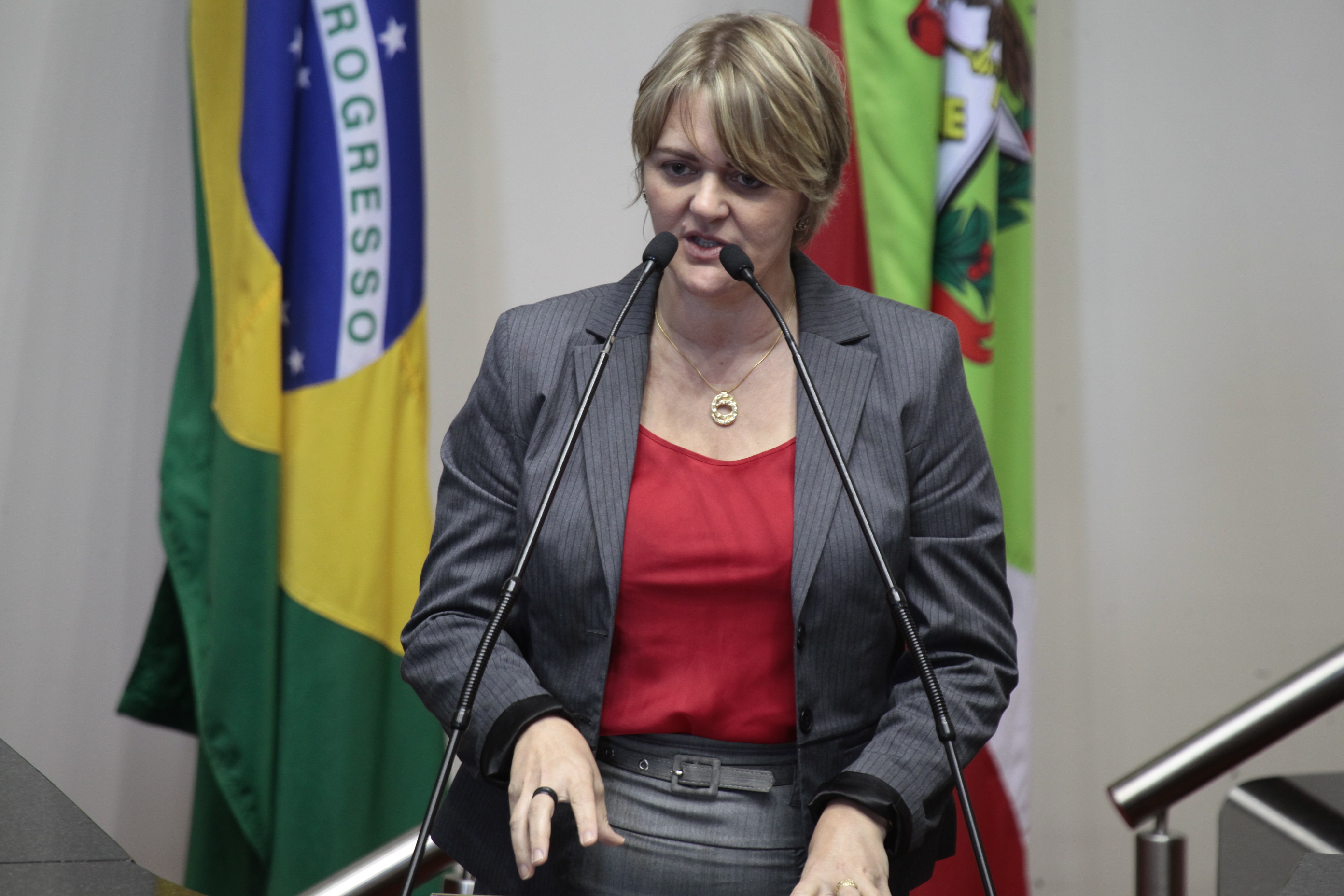 Sessão Ordinária. Deputada Luciane Carminatti (PT)