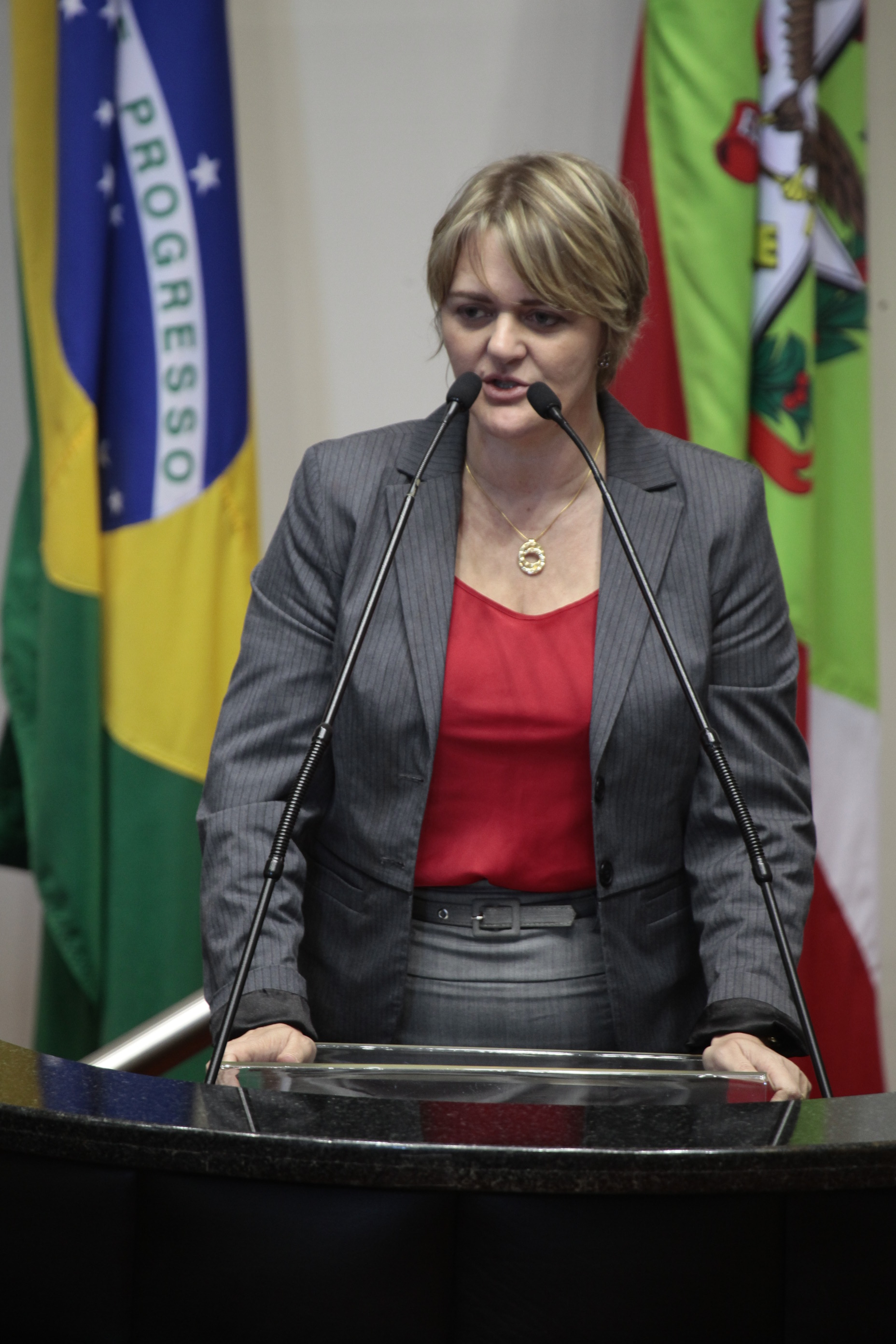 Sessão Ordinária.  Deputada Luciane Carminatti (PT)