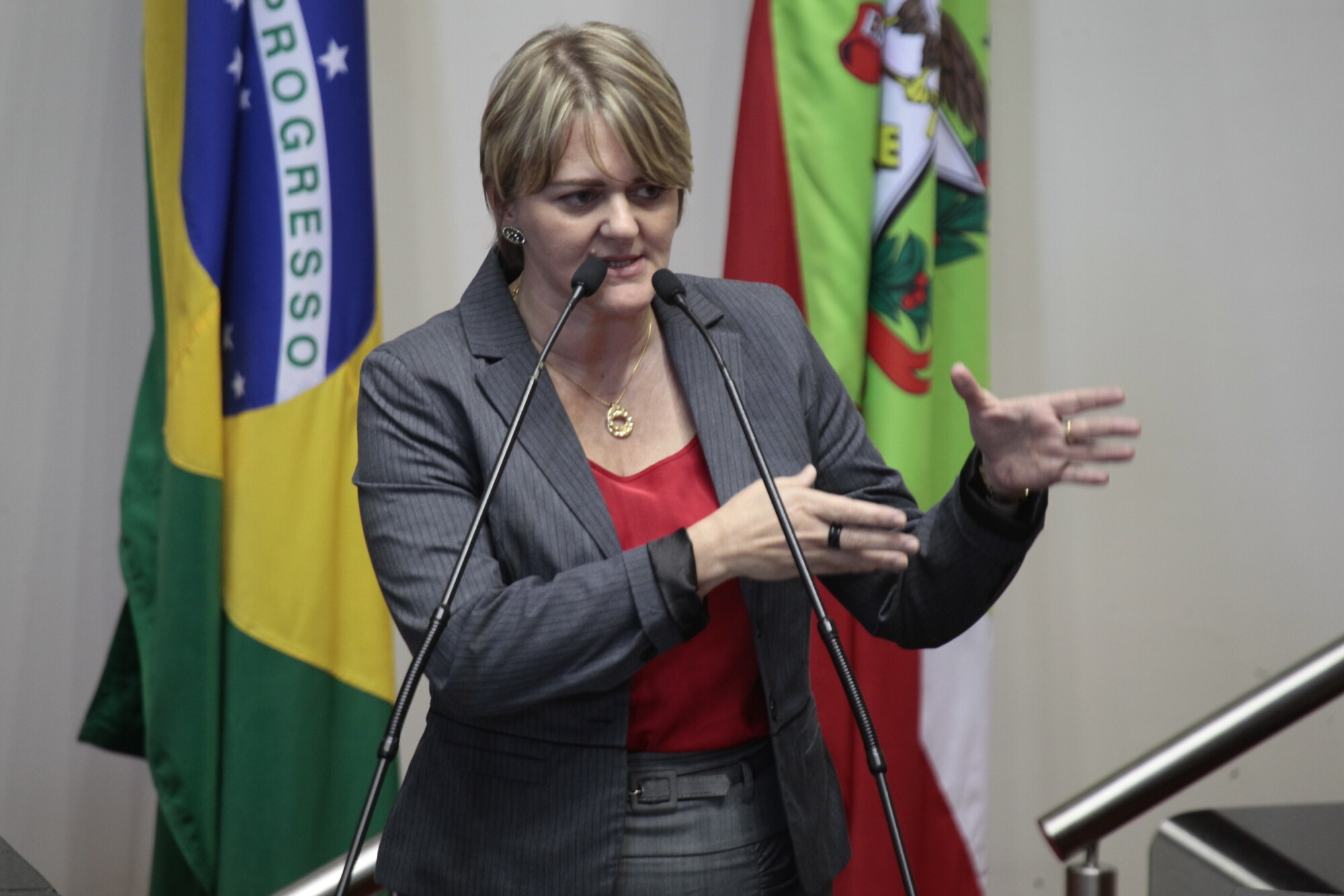 Deputada Luciane Carminatti