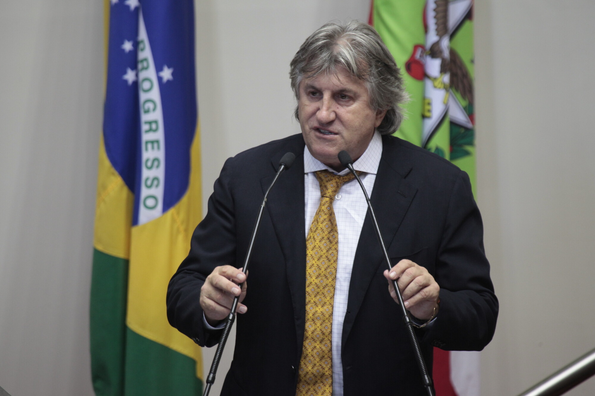 Deputado Leonel Pavan