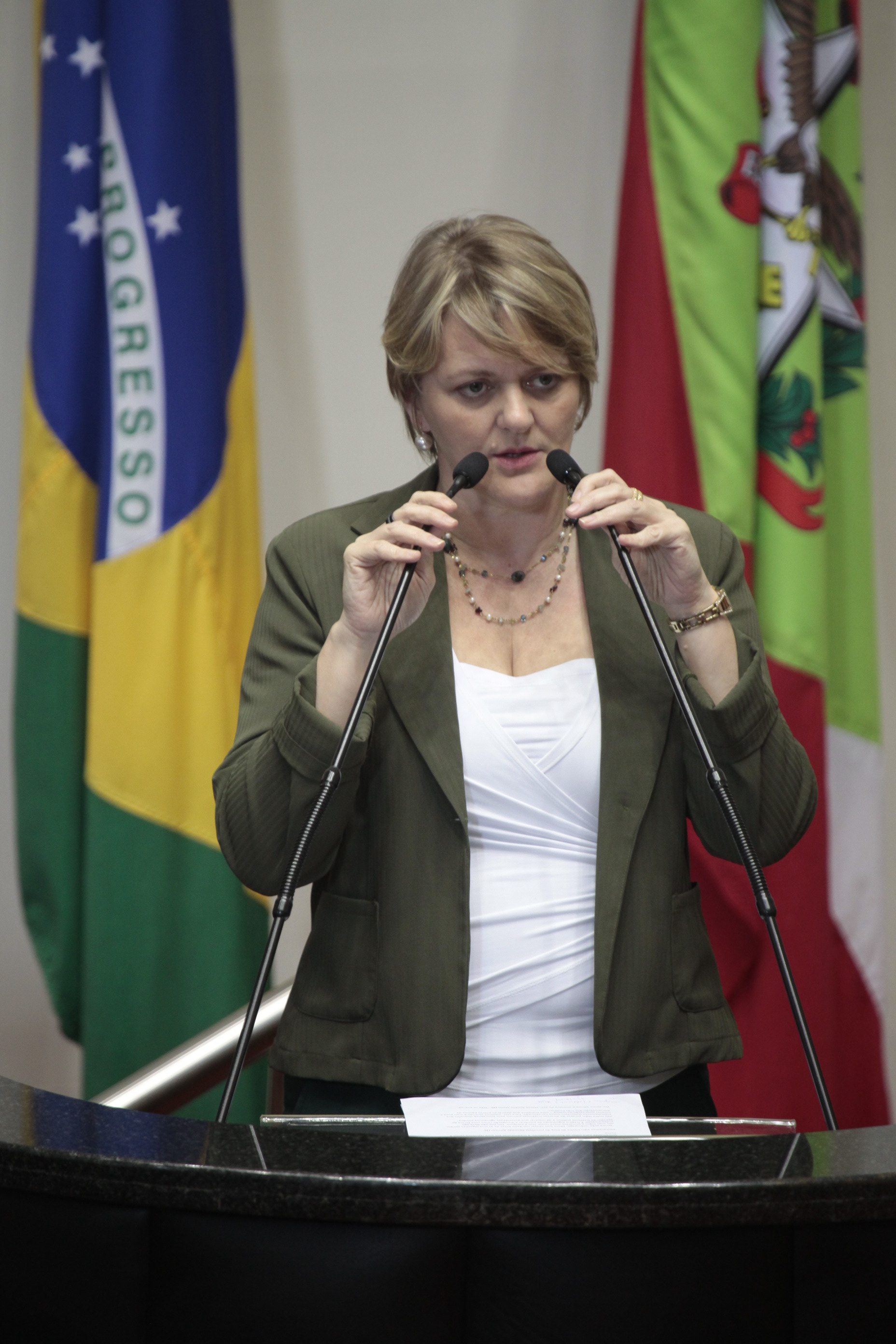 Sessão Ordinária. Deputada Luciane Carminatti (PT)