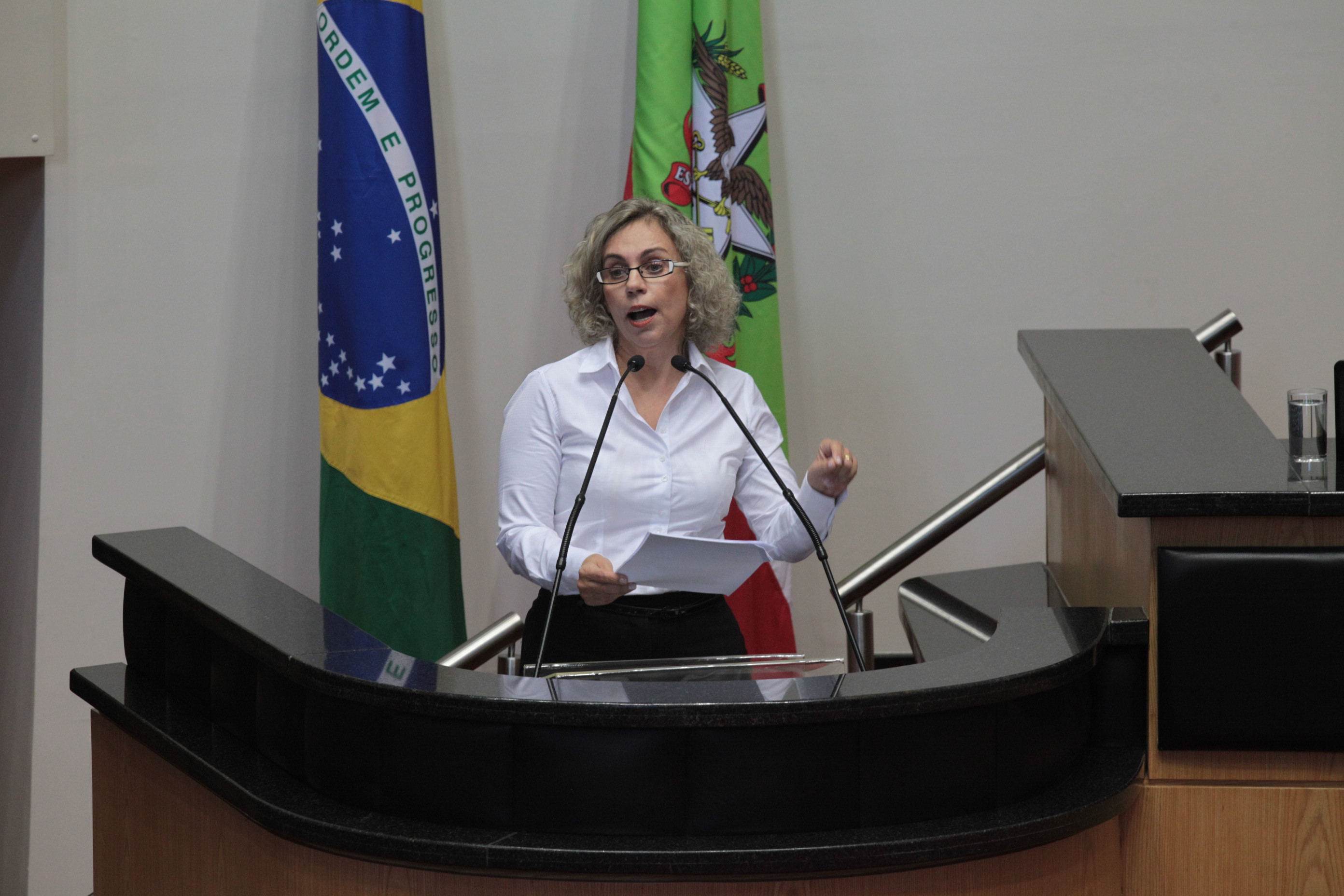 Sessão Ordinária. Deputada Ana Paula Lima (PT)