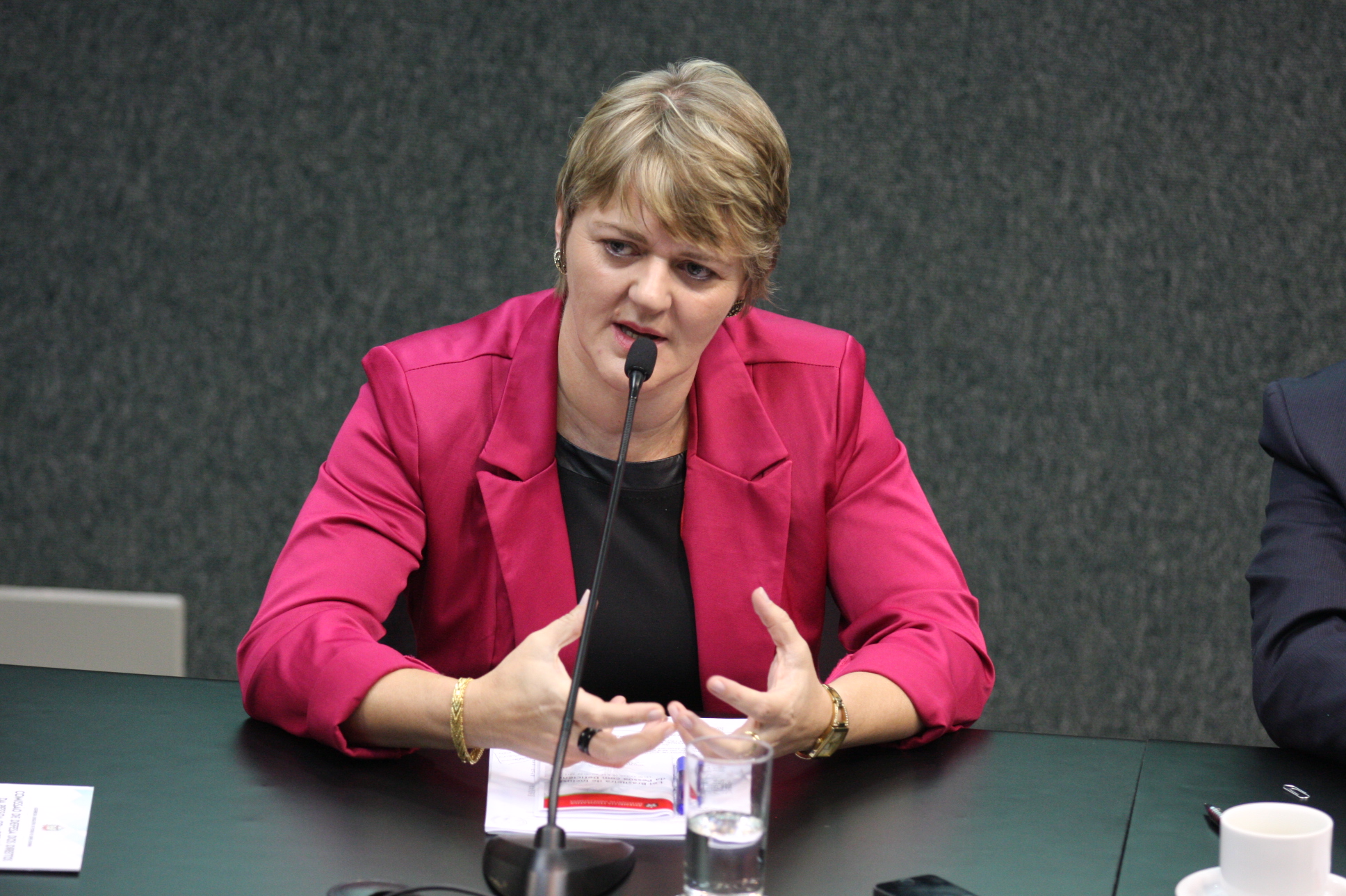 Comissão de Defesa dos Direitos da Pessoa com Deficiência. Deputada Luciane Carminatti (PT). Foto: Yuri Santos / Agência AL
