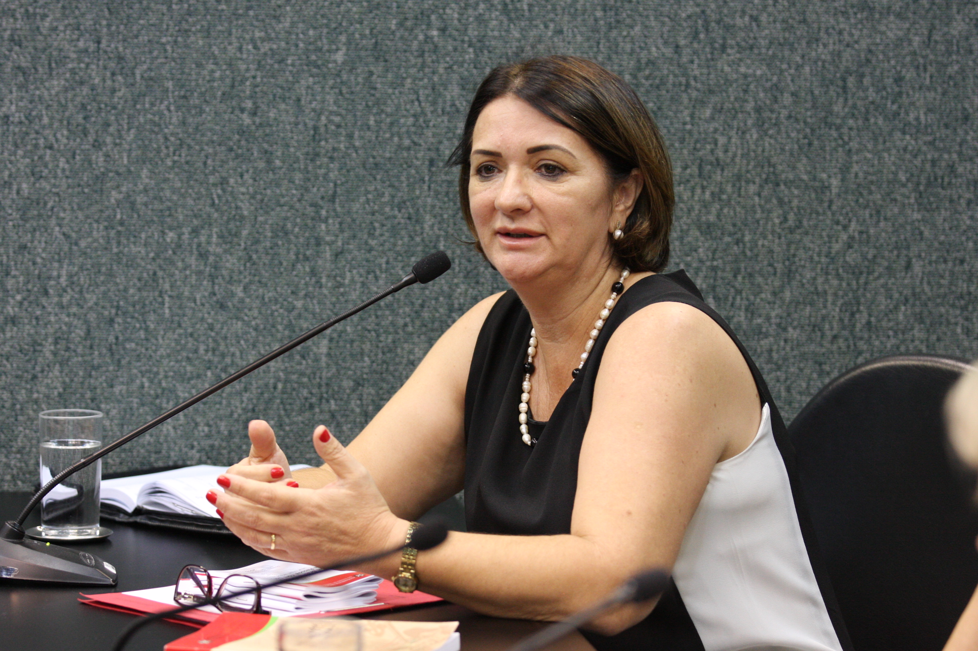 Comissão de Defesa dos Direitos da Pessoa com Deficiência. Téc.da CDDPD. Janice Aparecida Steidel Krasniak. Foto: Yuri Santos / Agência AL