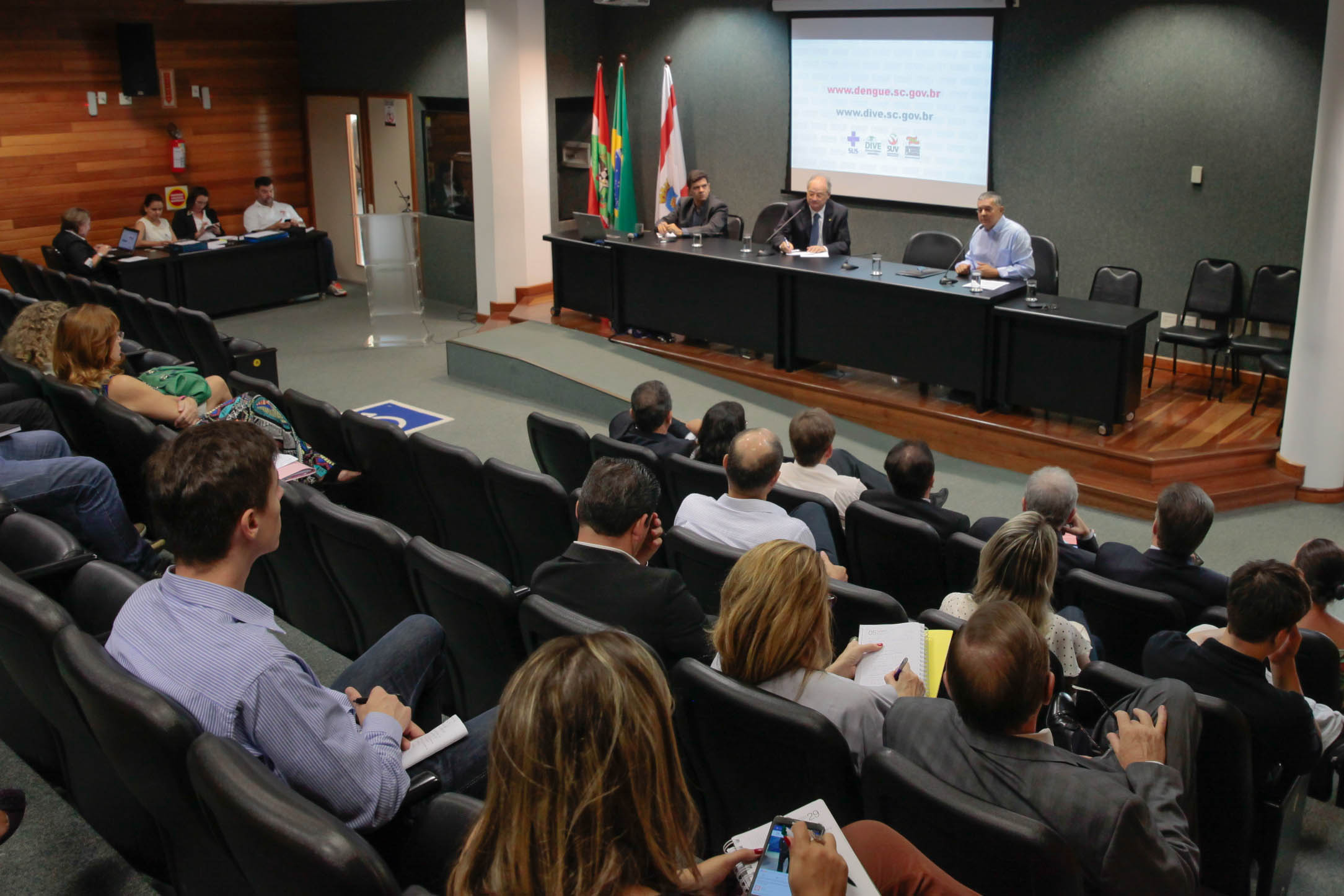 Comissão de Saúde – Audiência Pública sobre a prevenção da proliferação do mosquito da dengue