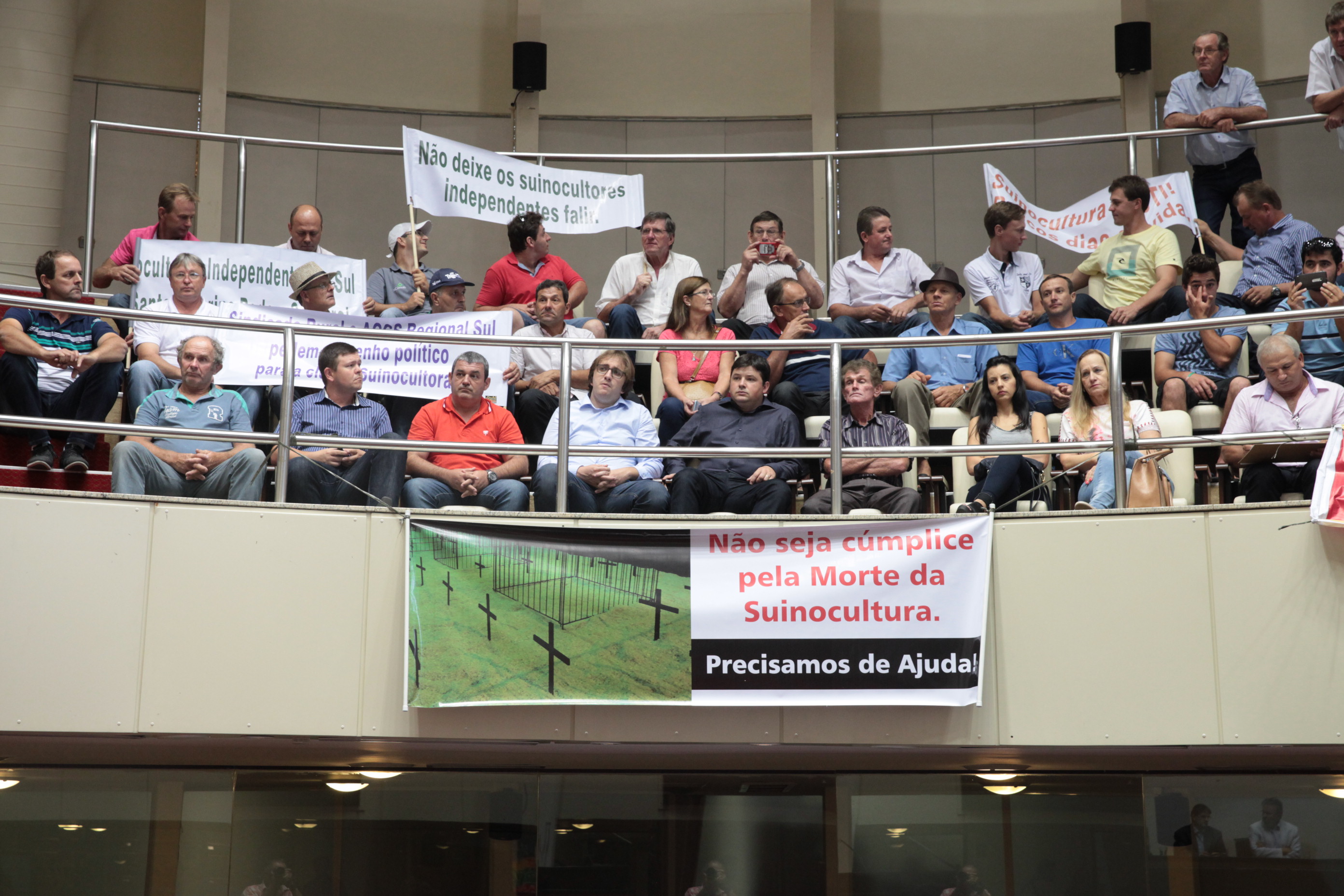 O Atual Cenário da Suinocultura Catarinense. Foto: Eduardo Guedes / Agência AL
