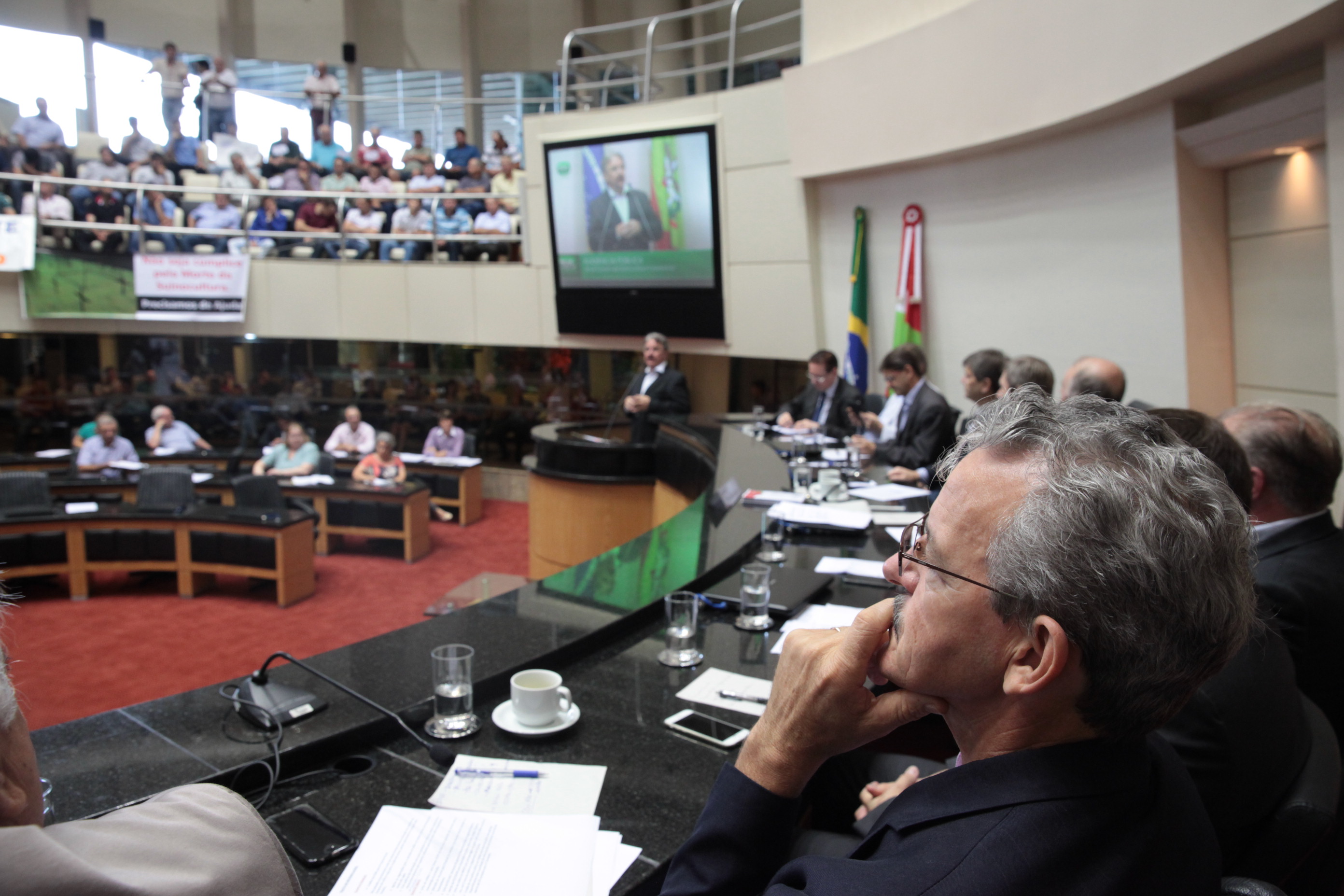 O Atual Cenário da Suinocultura Catarinense. Foto: Eduardo Guedes / Agência AL