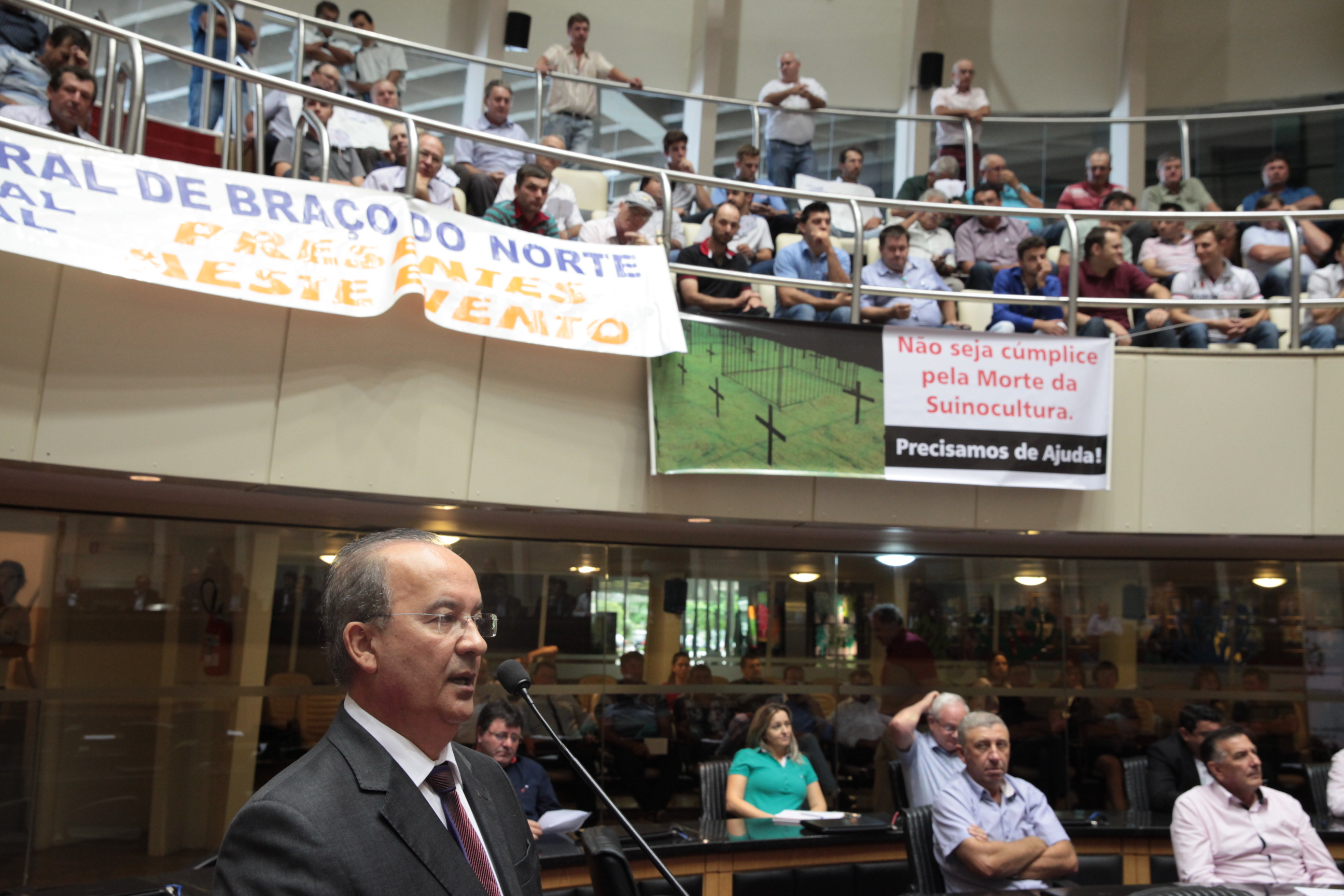 O Atual Cenário da Suinocultura Catarinense. Deputado Federal Jorginho Mello (PR). Foto: Eduardo Guedes / Agência AL