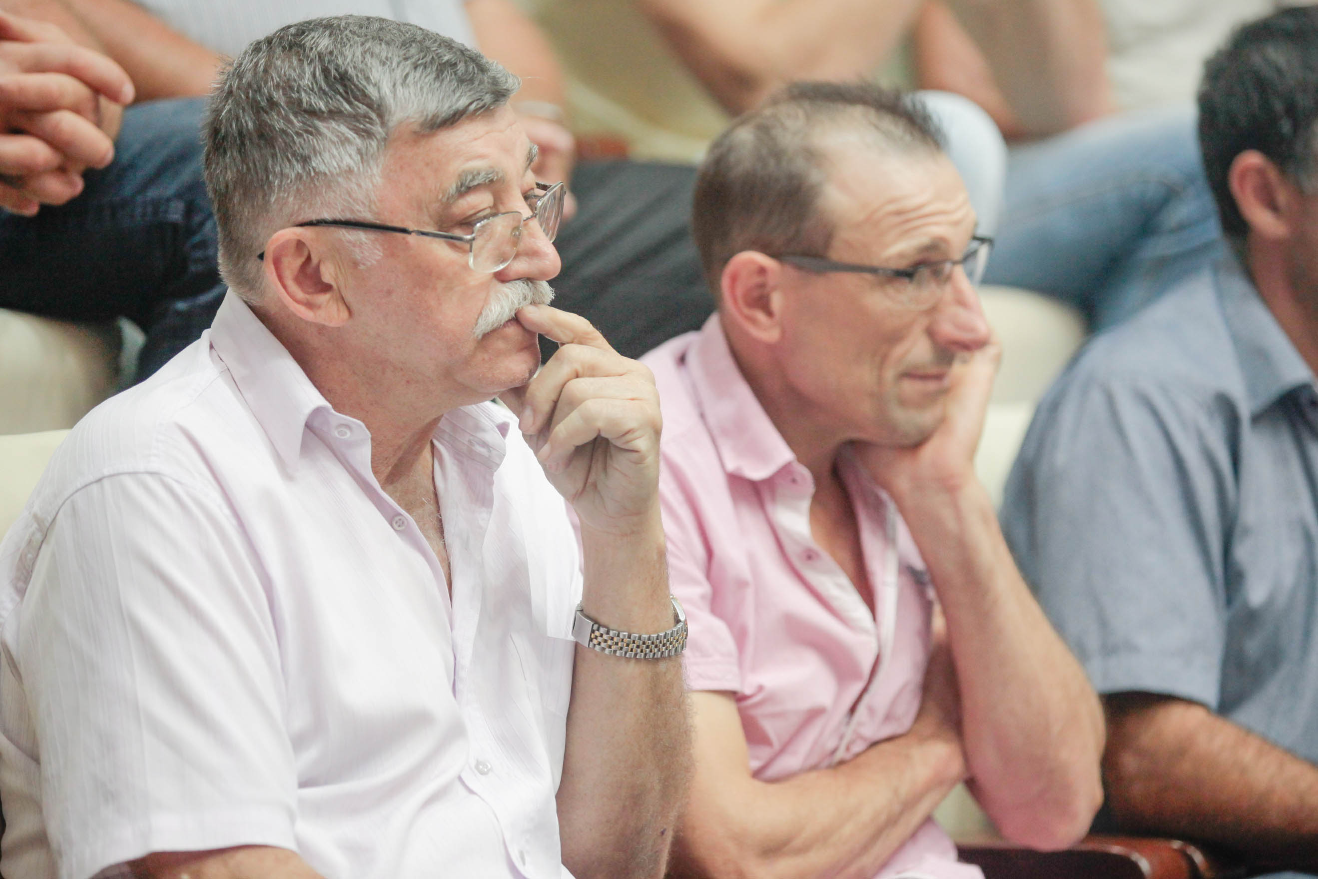 O Atual Cenário da Suinocultura Catarinense. Foto: Luis Gustavo Debiasi / Agência AL