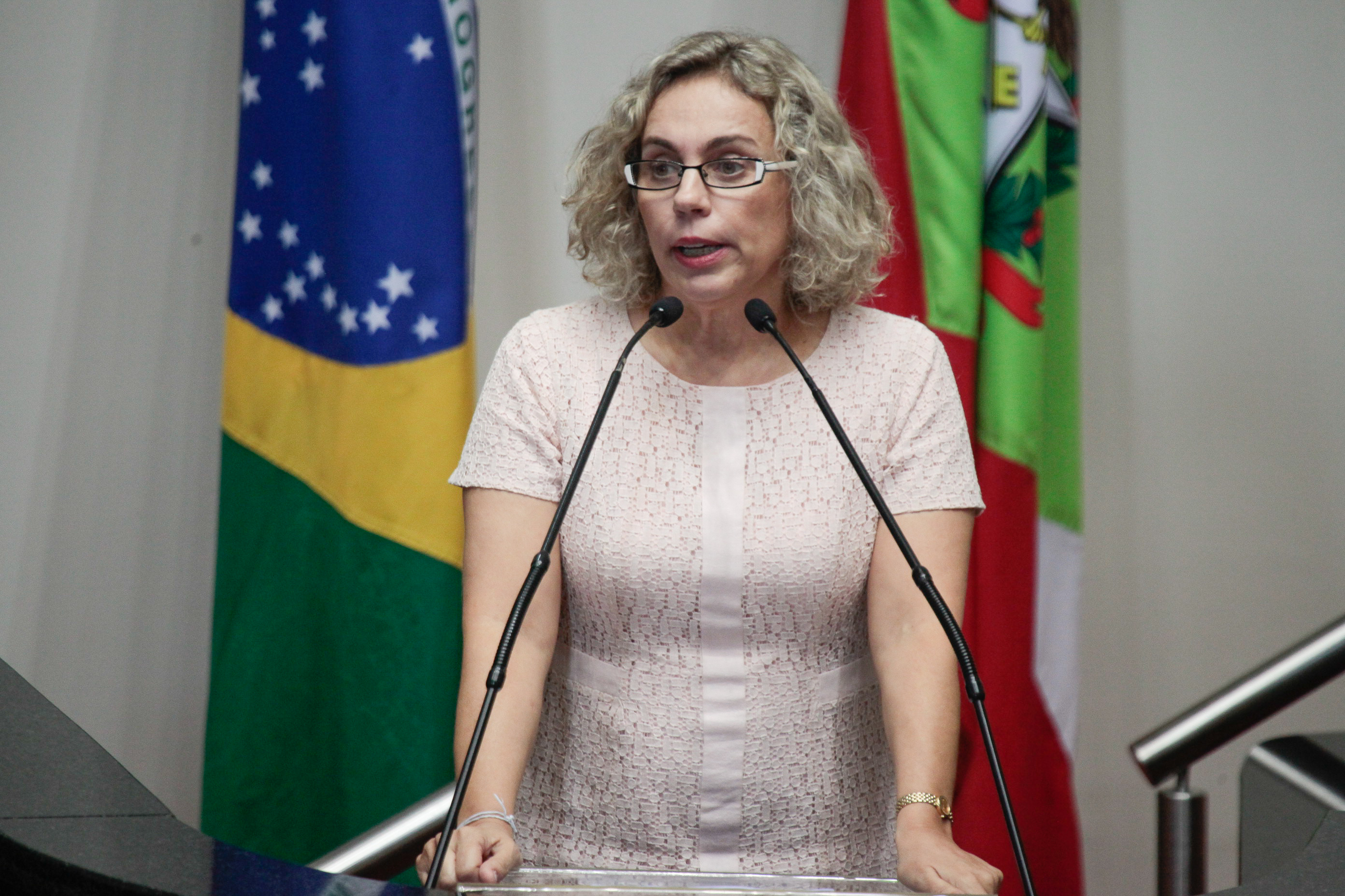 Sessão Ordinária. Deputada Ana Paula Lima (PT)