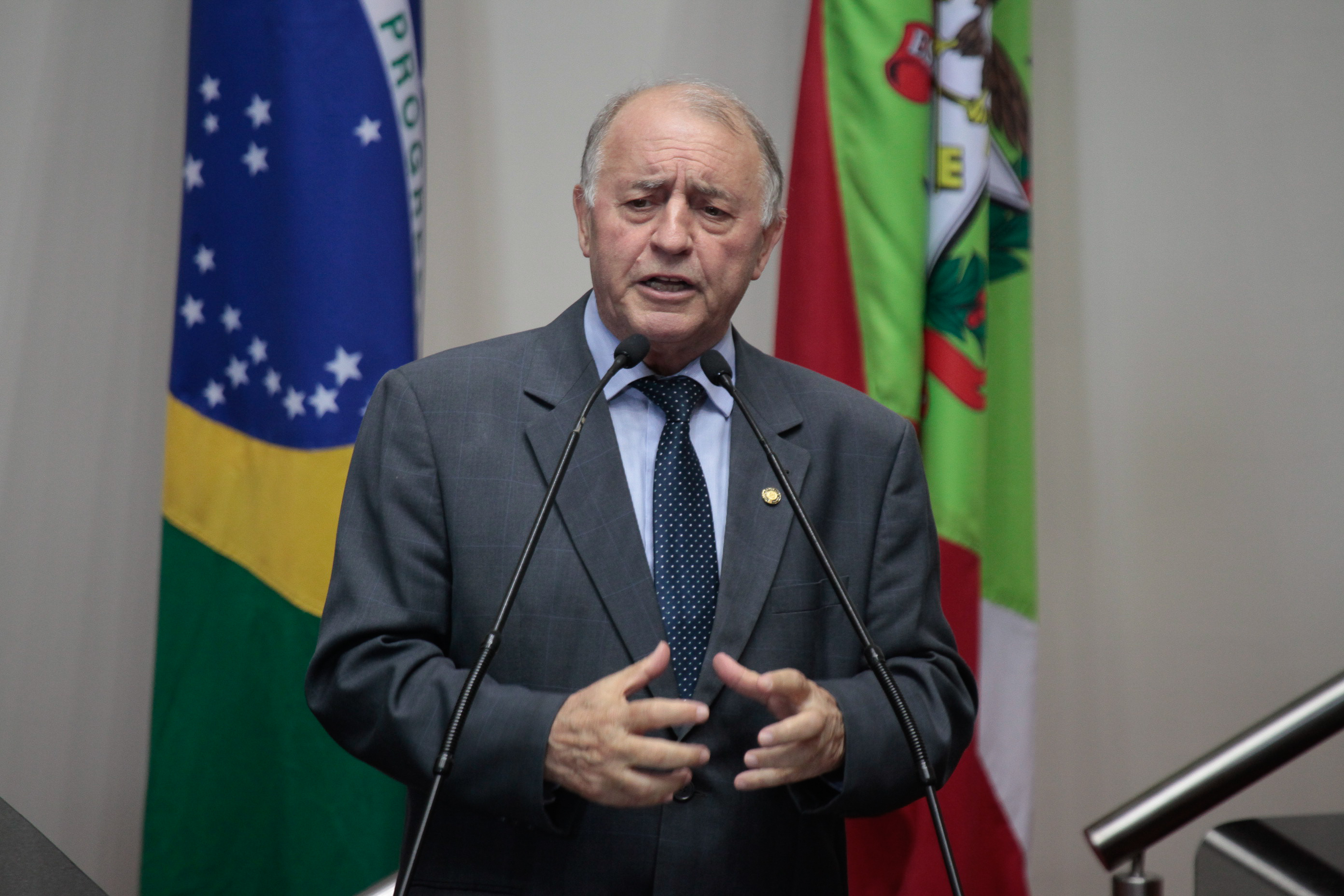 Sessão Ordinária. Deputado Natalino Lazare (PR)