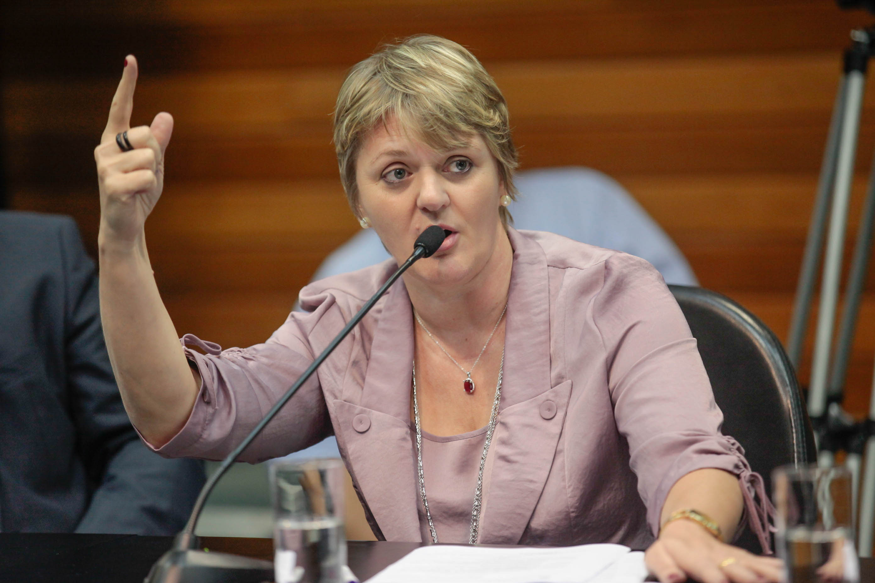 Comissão de Costituição e Justiça. Foto: Luis Debiasi / Agência AL