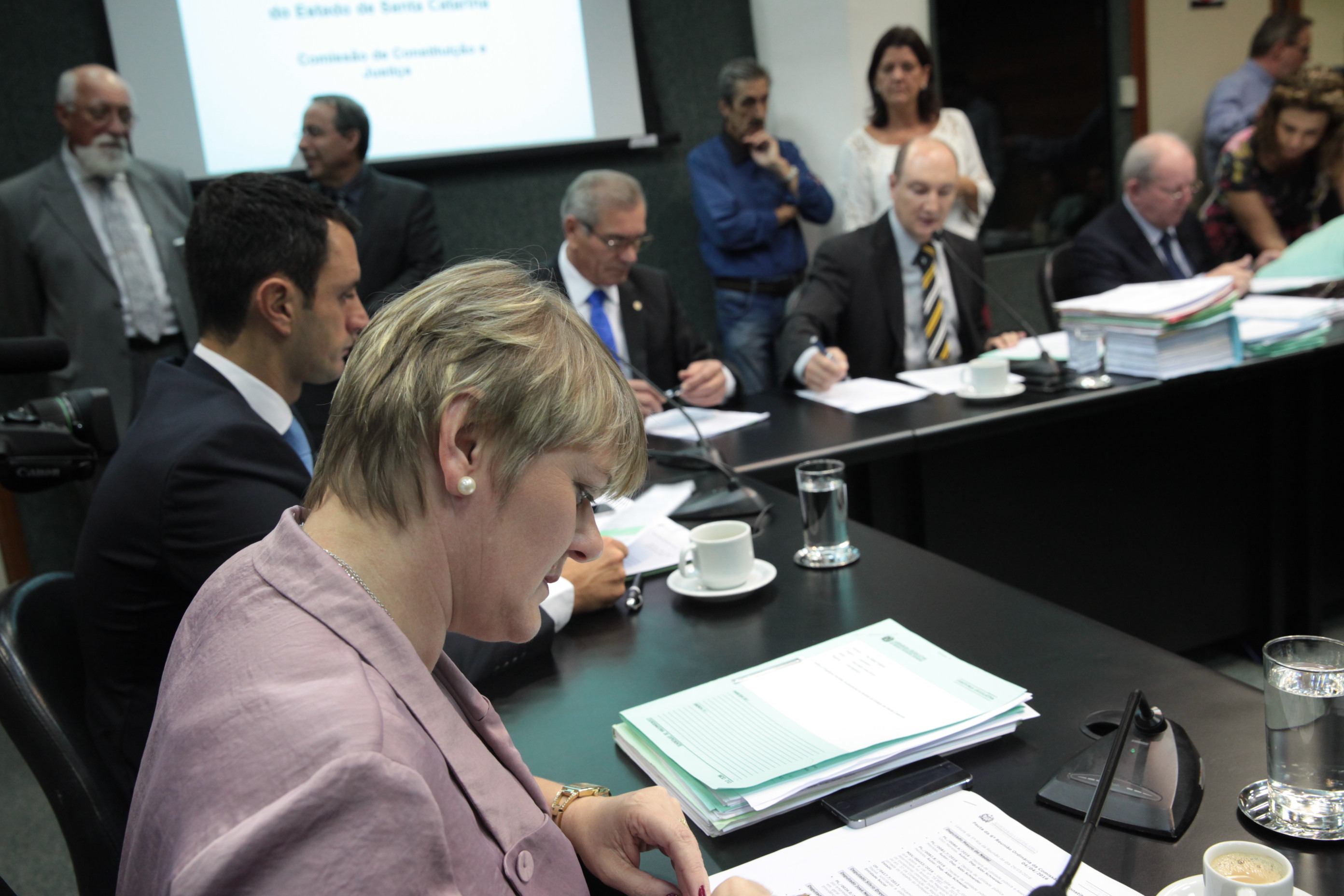 Comissão de Costituição e Justiça. Foto: Eduardo Guedes de Oliveira / Agência AL