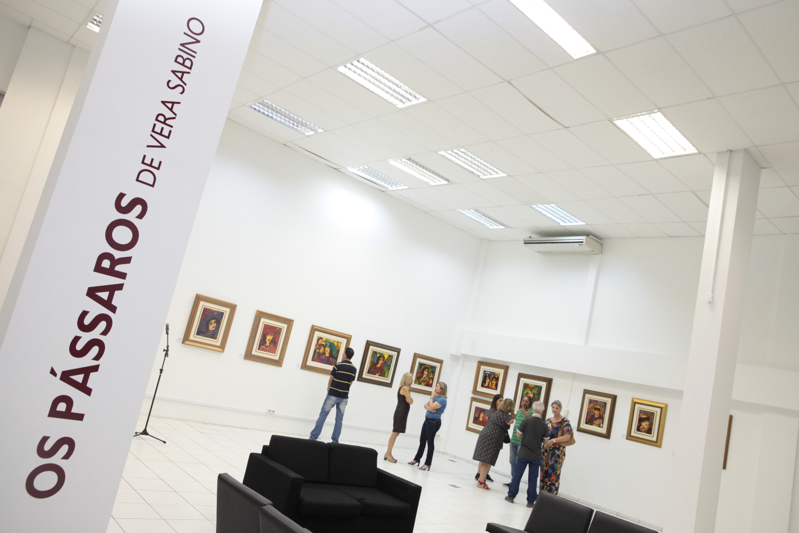 Exposição Os Pássaros – Vera Sabino