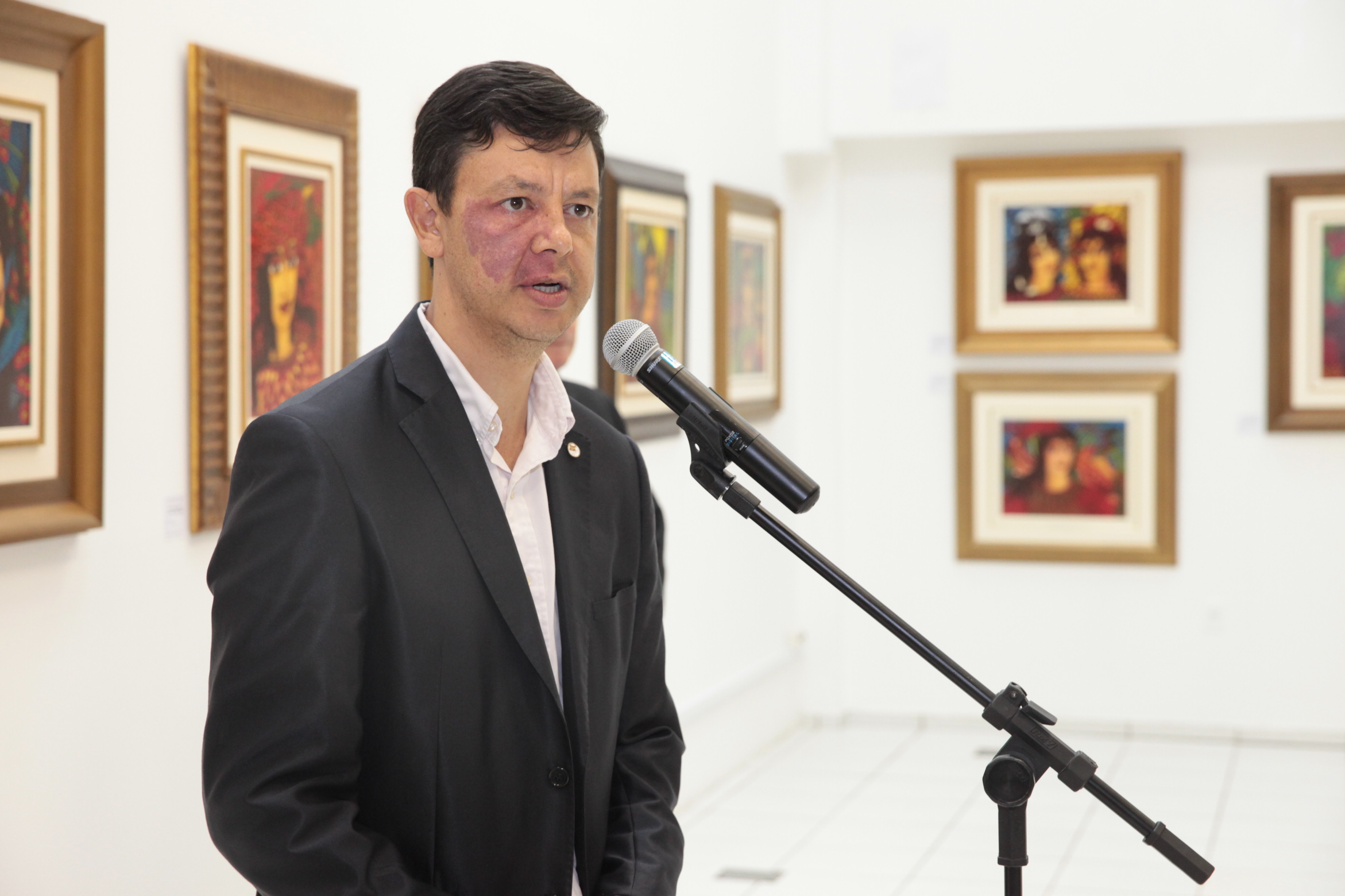 Exposição Os Pássaros - Vera Sabino. Foto: Fábio Queiroz / Agência AL