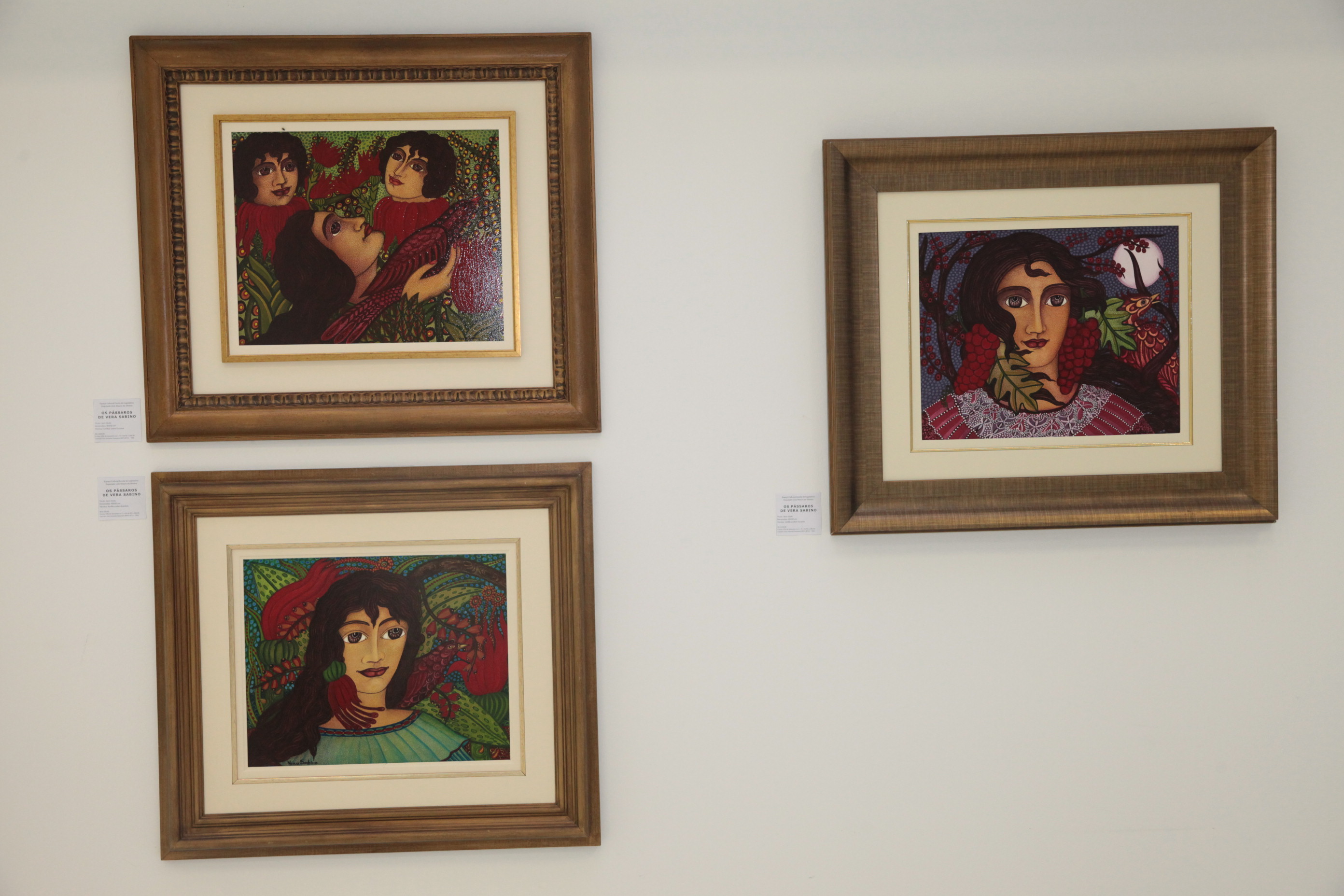 Exposição Os Pássaros - Vera Sabino. Foto: Fábio Queiroz / Agência AL