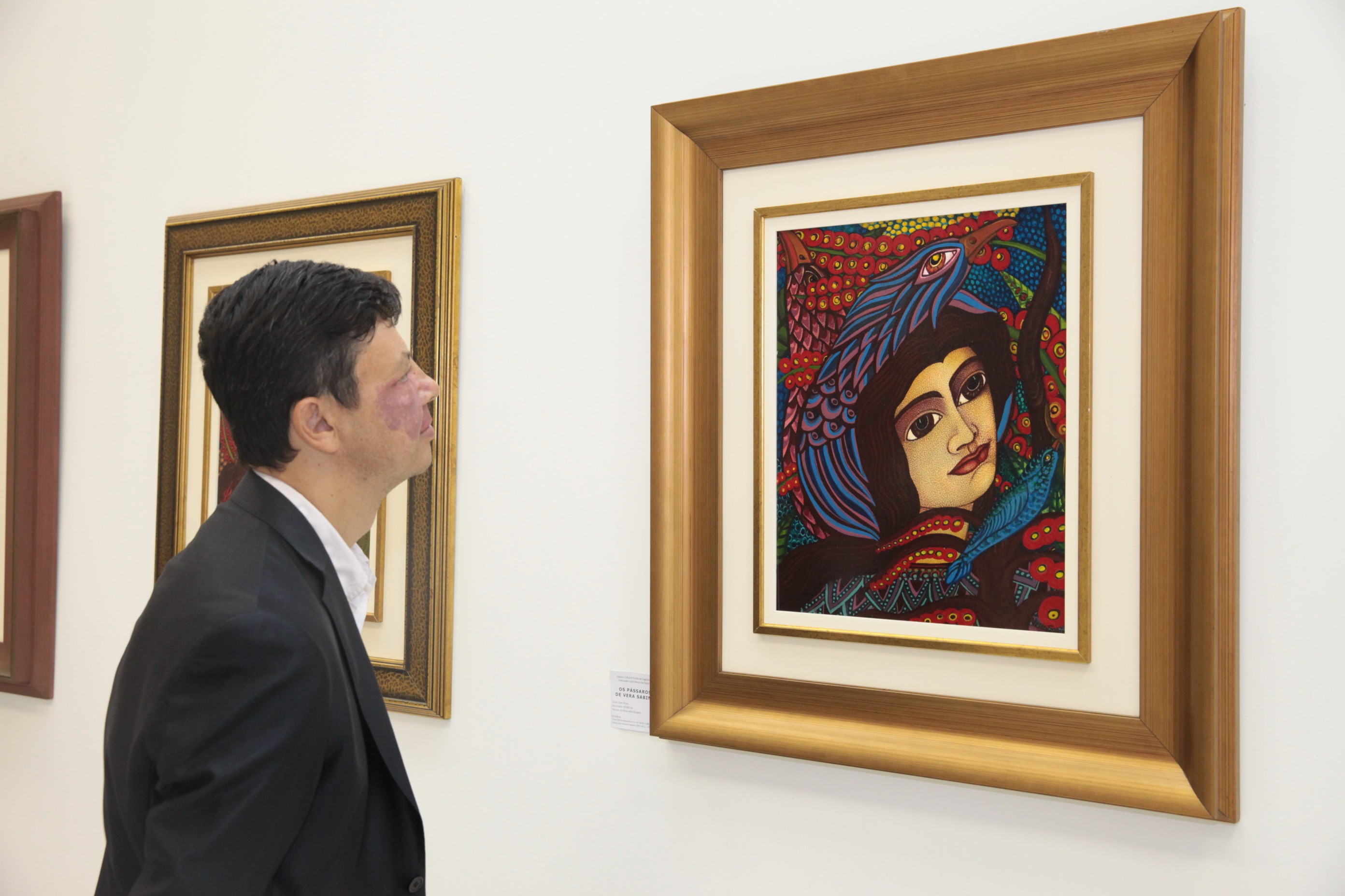 Exposição Os Pássaros - Vera Sabino. Foto: Fábio Queiroz / Agência AL