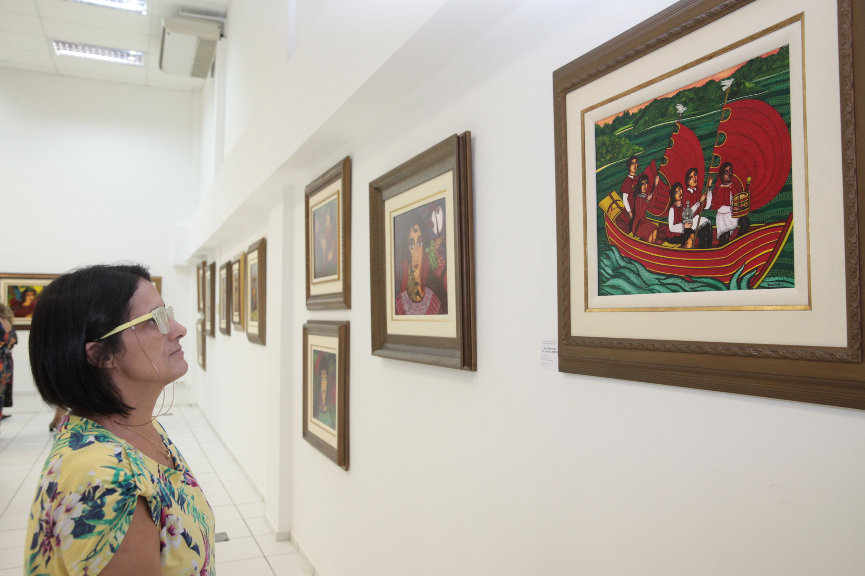 Exposição Os Pássaros - Vera Sabino. Foto: Fábio Queiroz / Agência AL