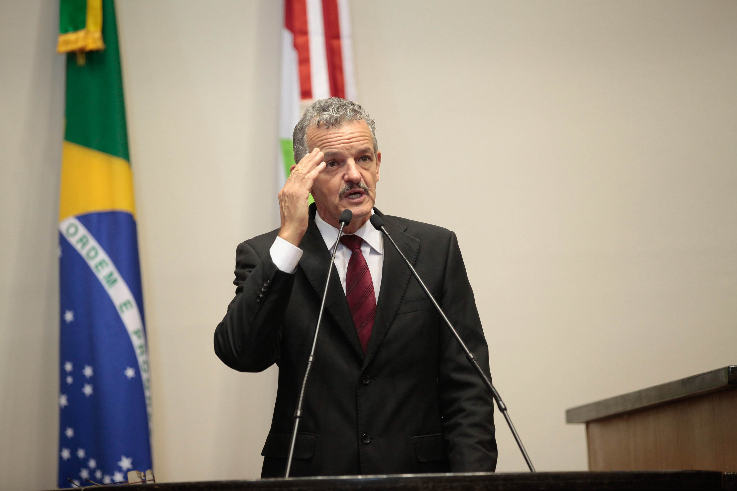 Sessão Ordinária. Foto: Luis Debiasi / Agência AL