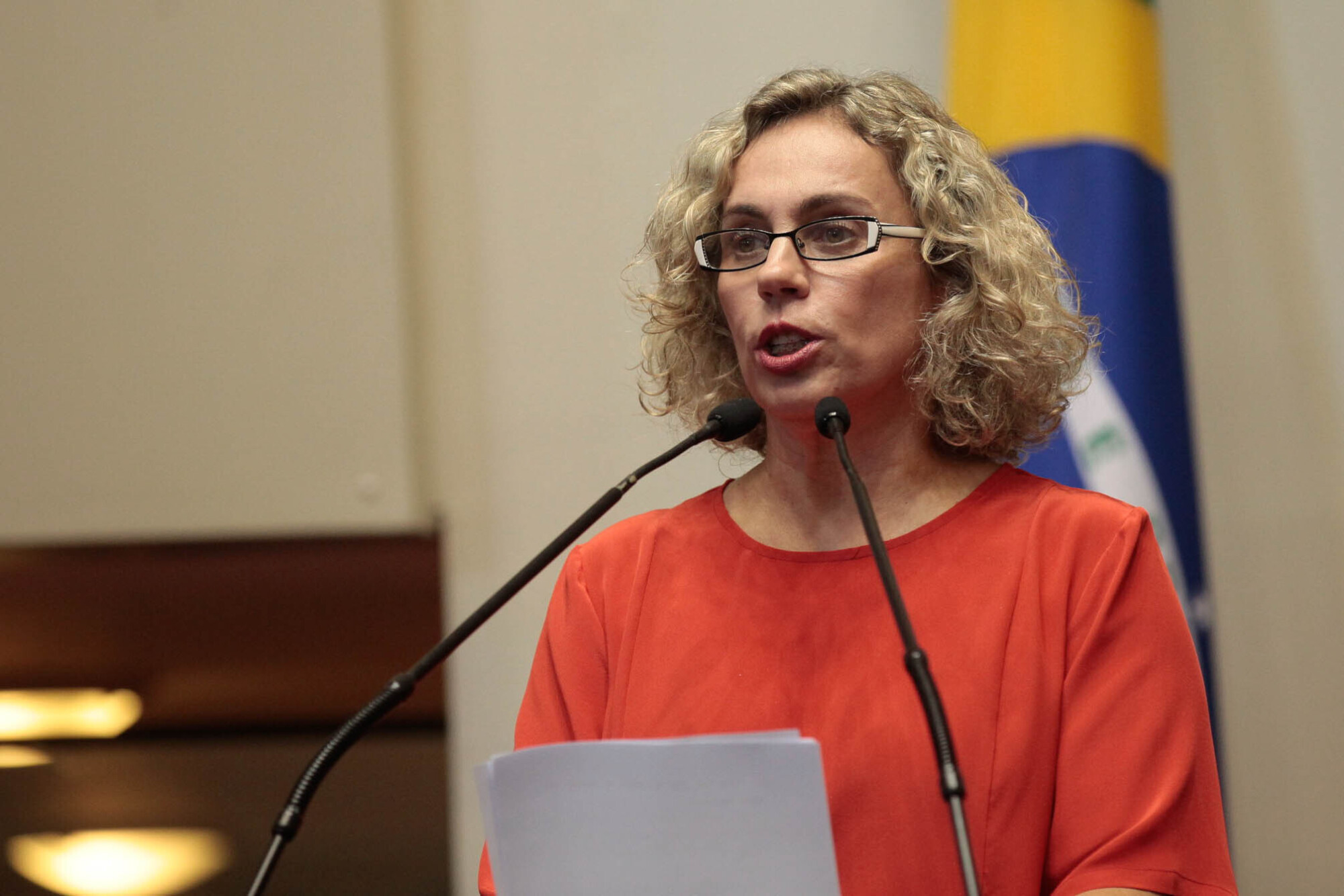 Deputada Ana Paula Lima