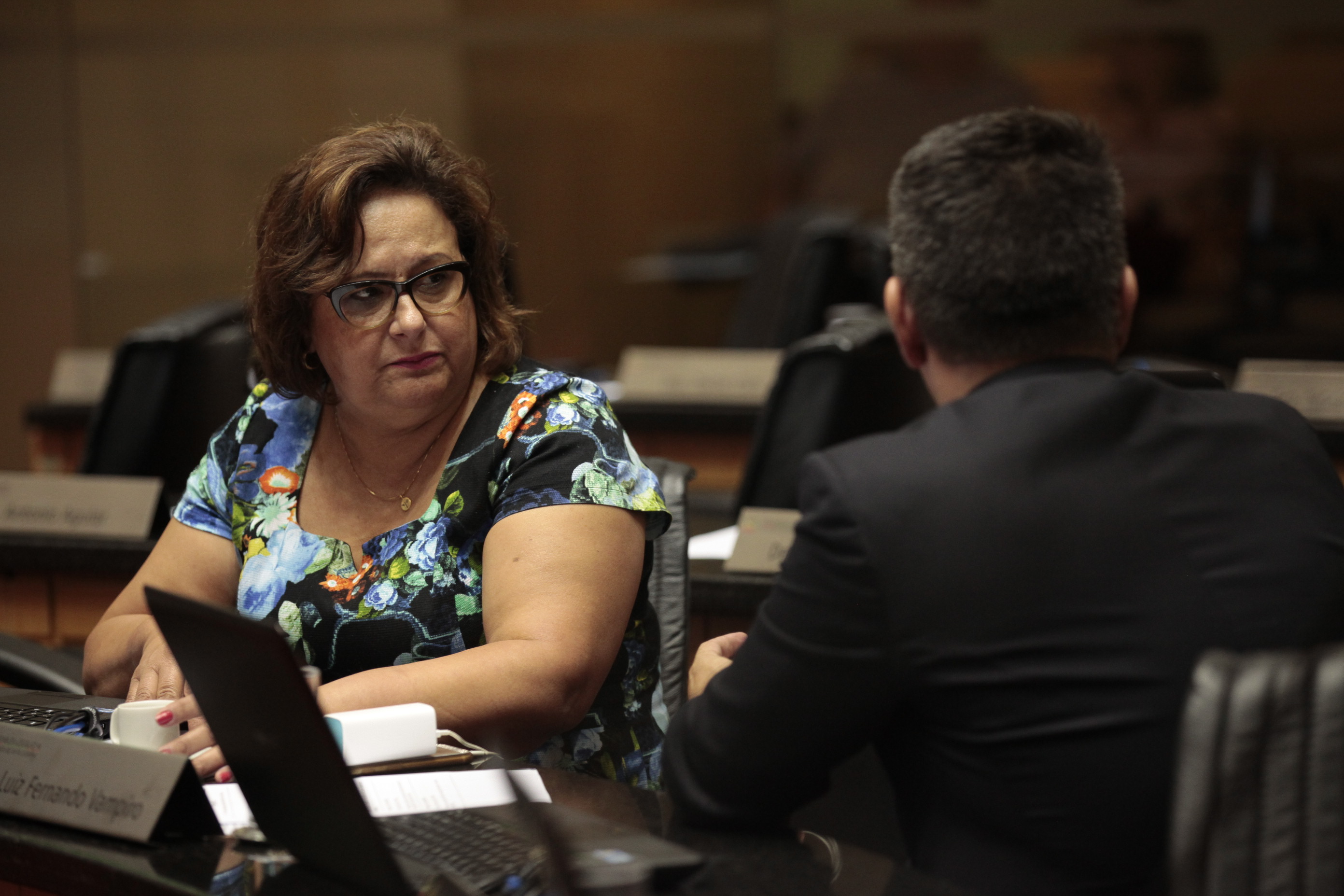 Sessão Ordinária. Foto: Luis Debiasi / Agência AL