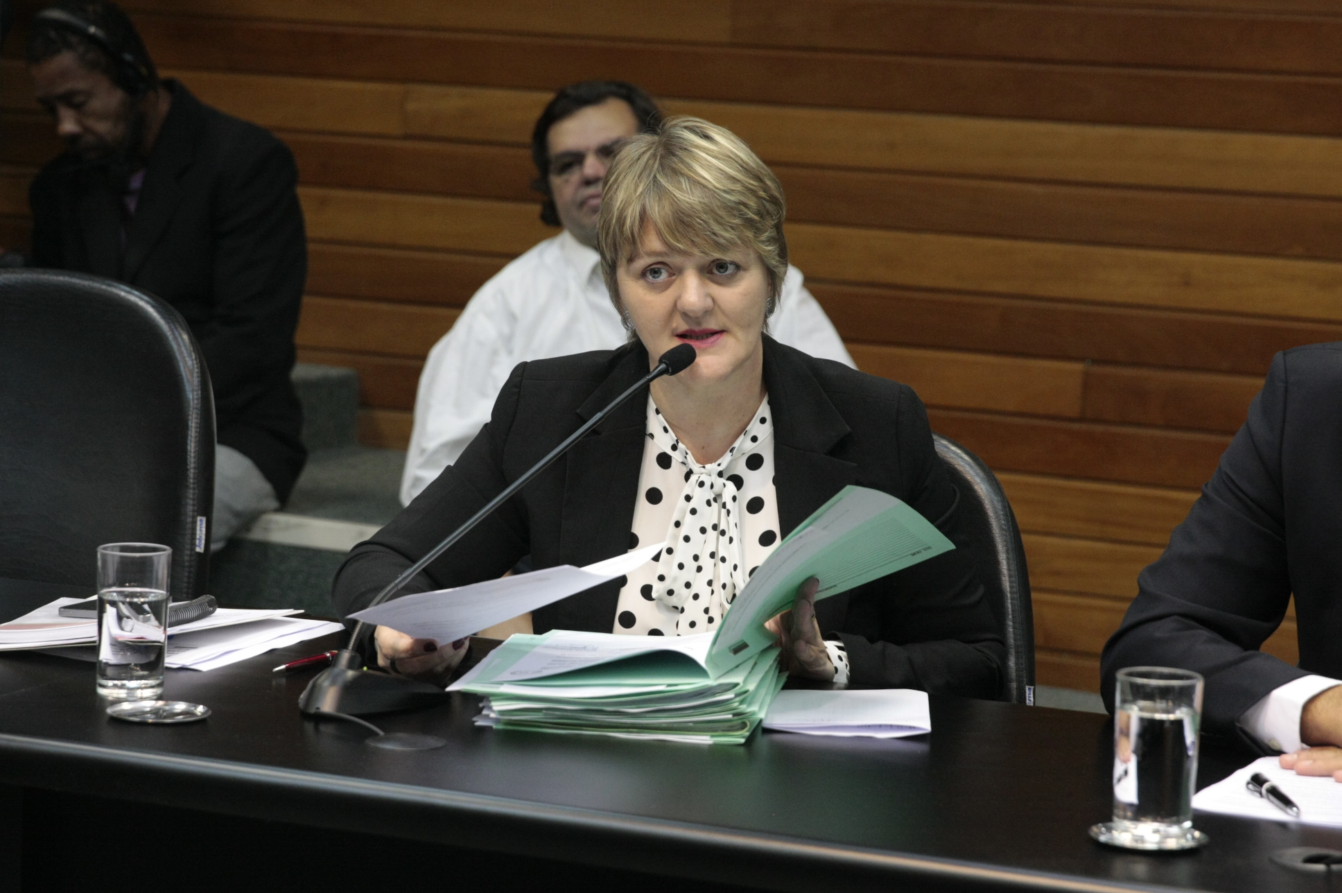 Comissão de Constituição e Justiça. Dep: Luciane Carminatti (PT). Foto: Yuri Santos / Agência AL
