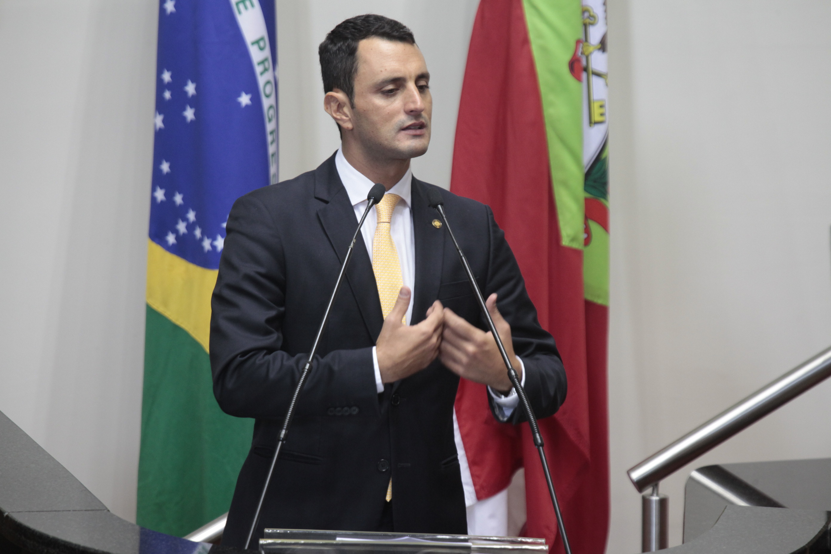Sessão Ordinária. Deputado João Amin (PP) -  Foto: Miriam Zomer/ Agência AL