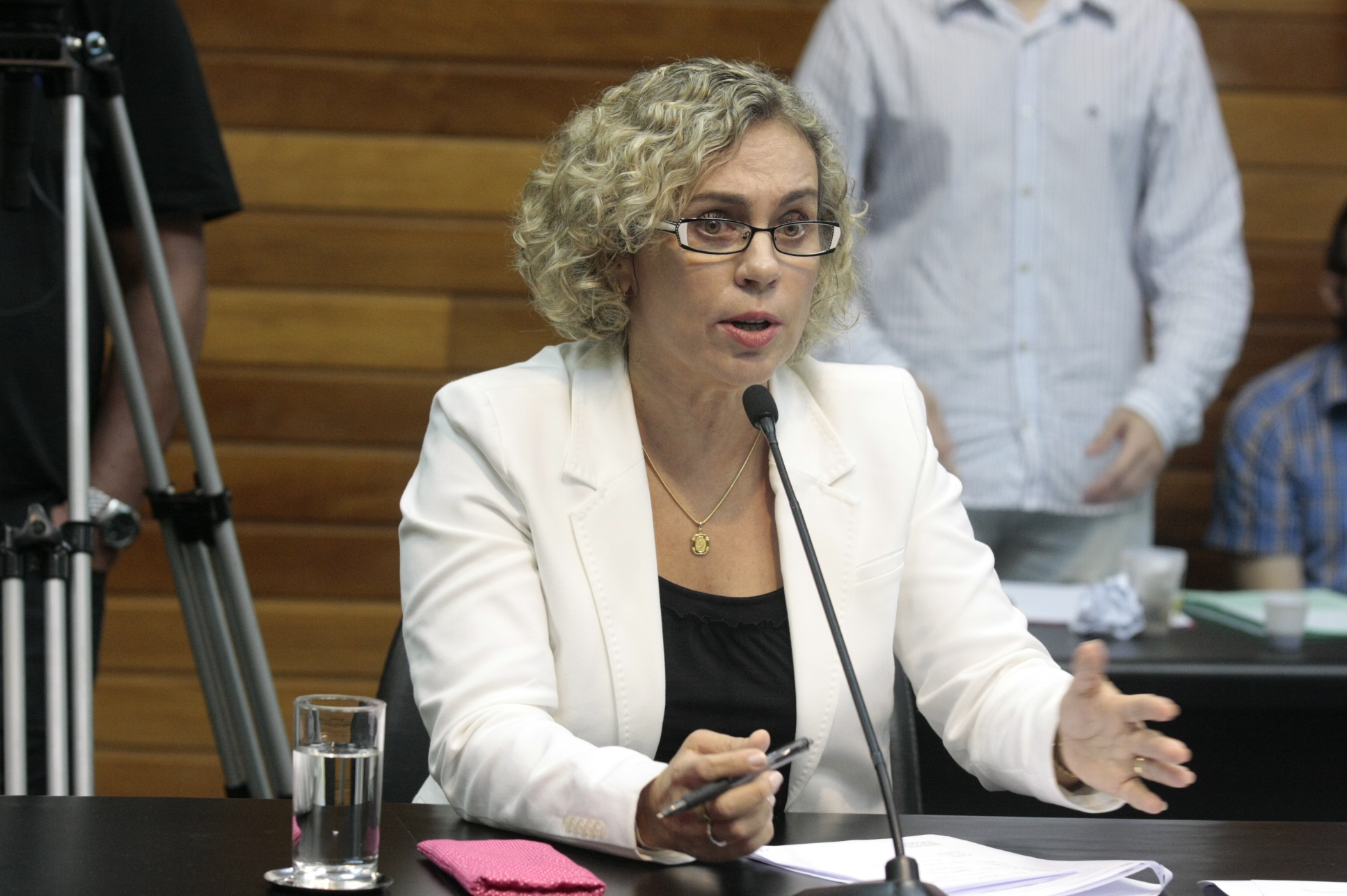 Comissão de Saúde. Deputada Ana Paula Lima (PT). Foto: Yuri Santos / Agência AL