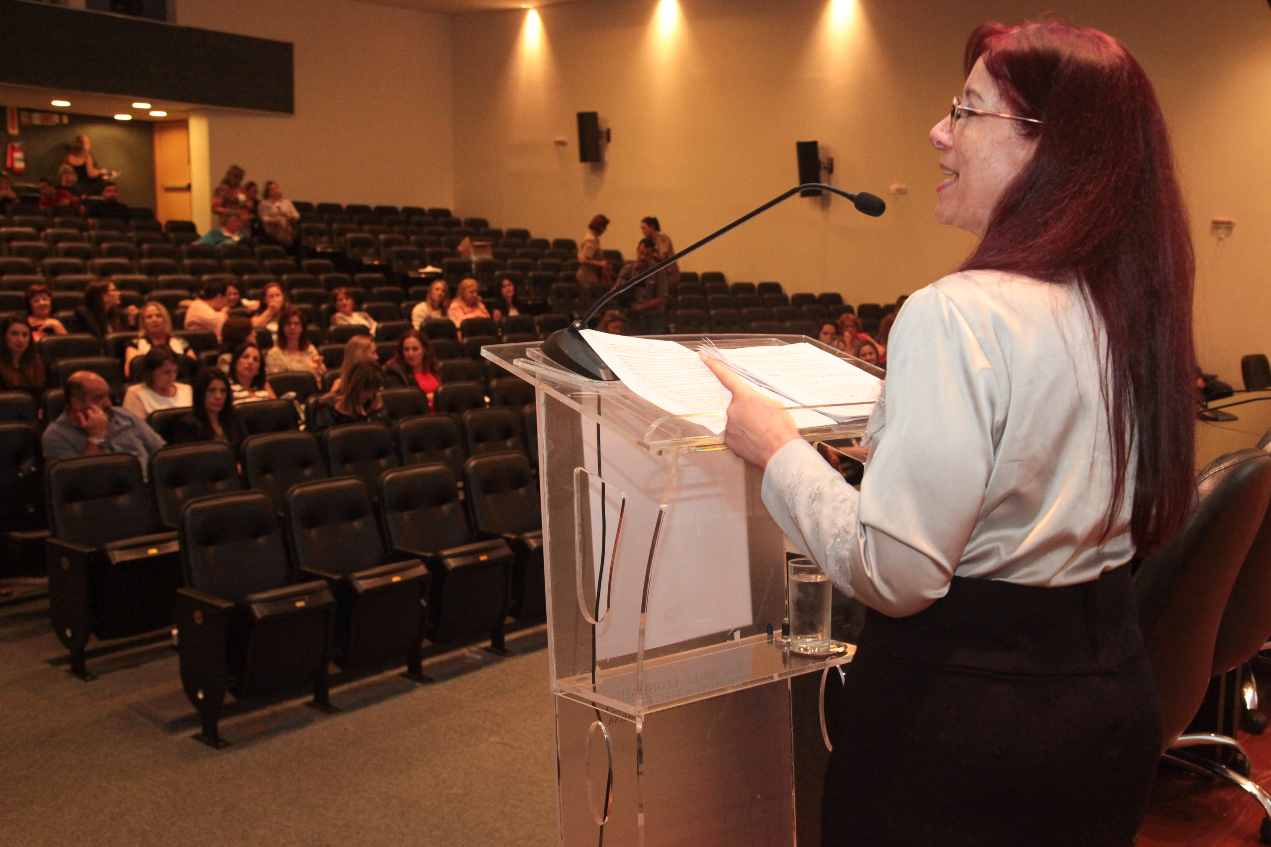 VII Encontro da Mulher Parlamentar Catarinense. Elizete Lanzoni Alves.