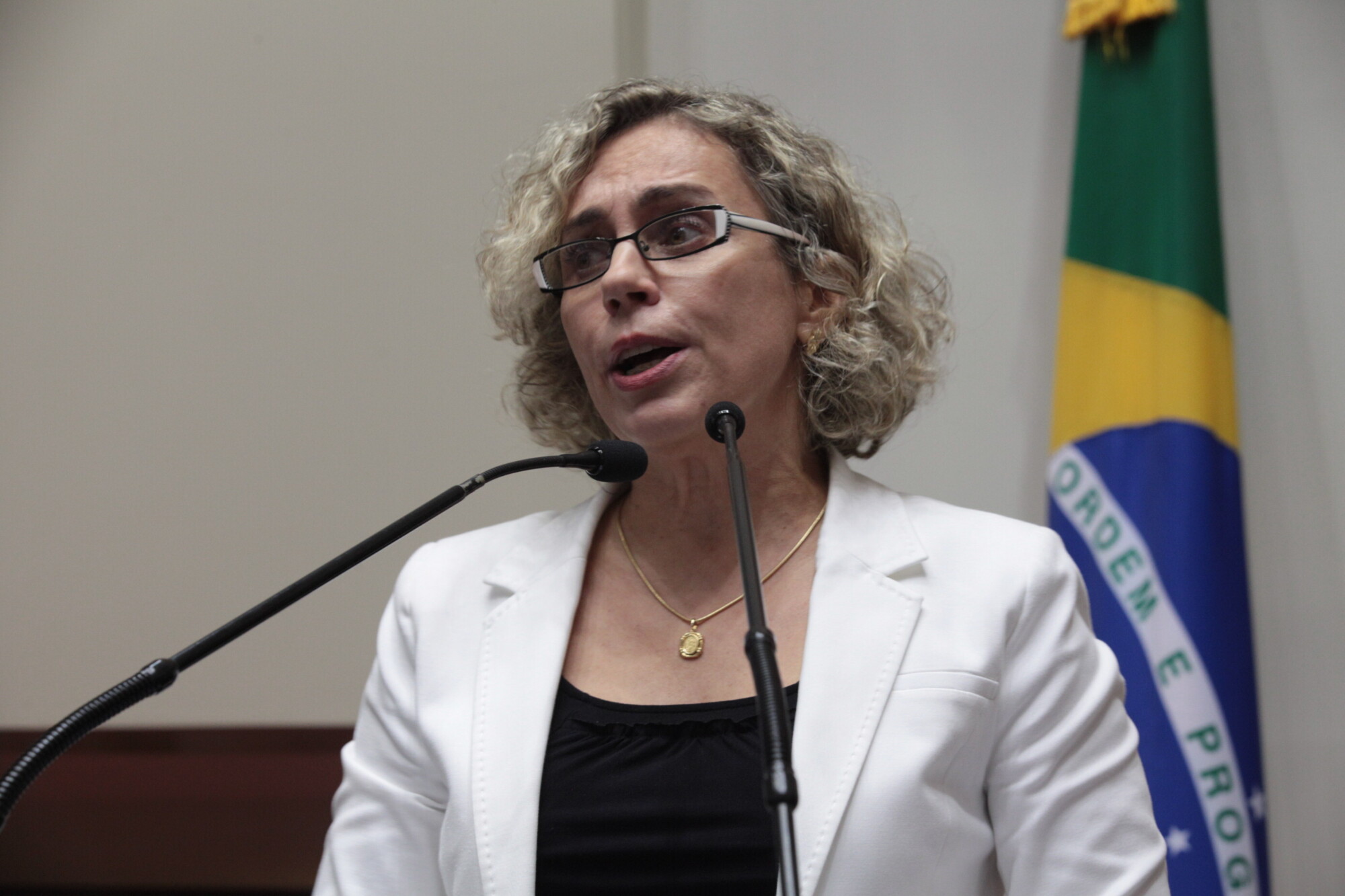 Deputada Ana Paula Lima