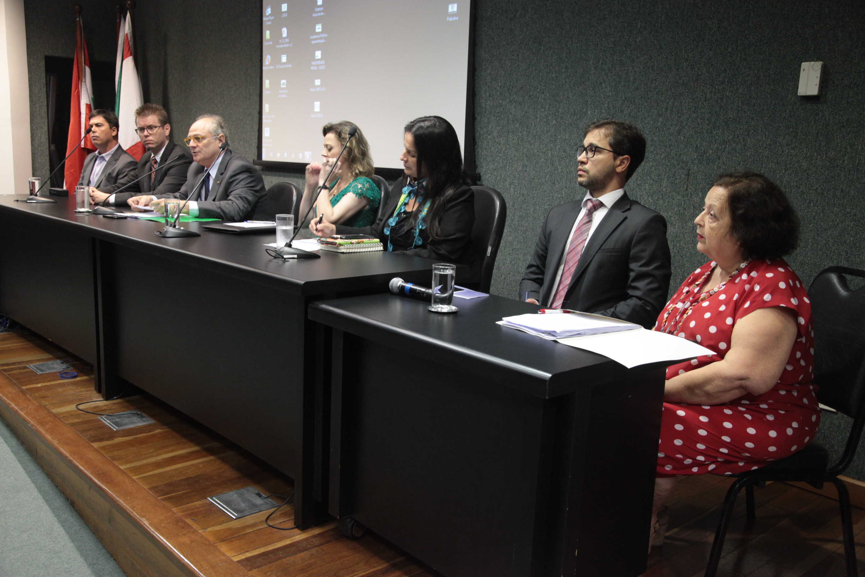 Audiencia Publica Sistema Socioeducativo Catarinense