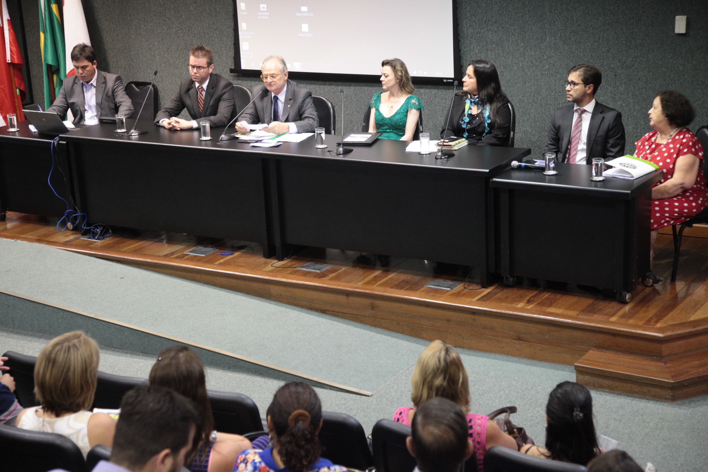 Audiencia Publica Sistema Socioeducativo Catarinense Foto Eduardo Guedes de Oliveira