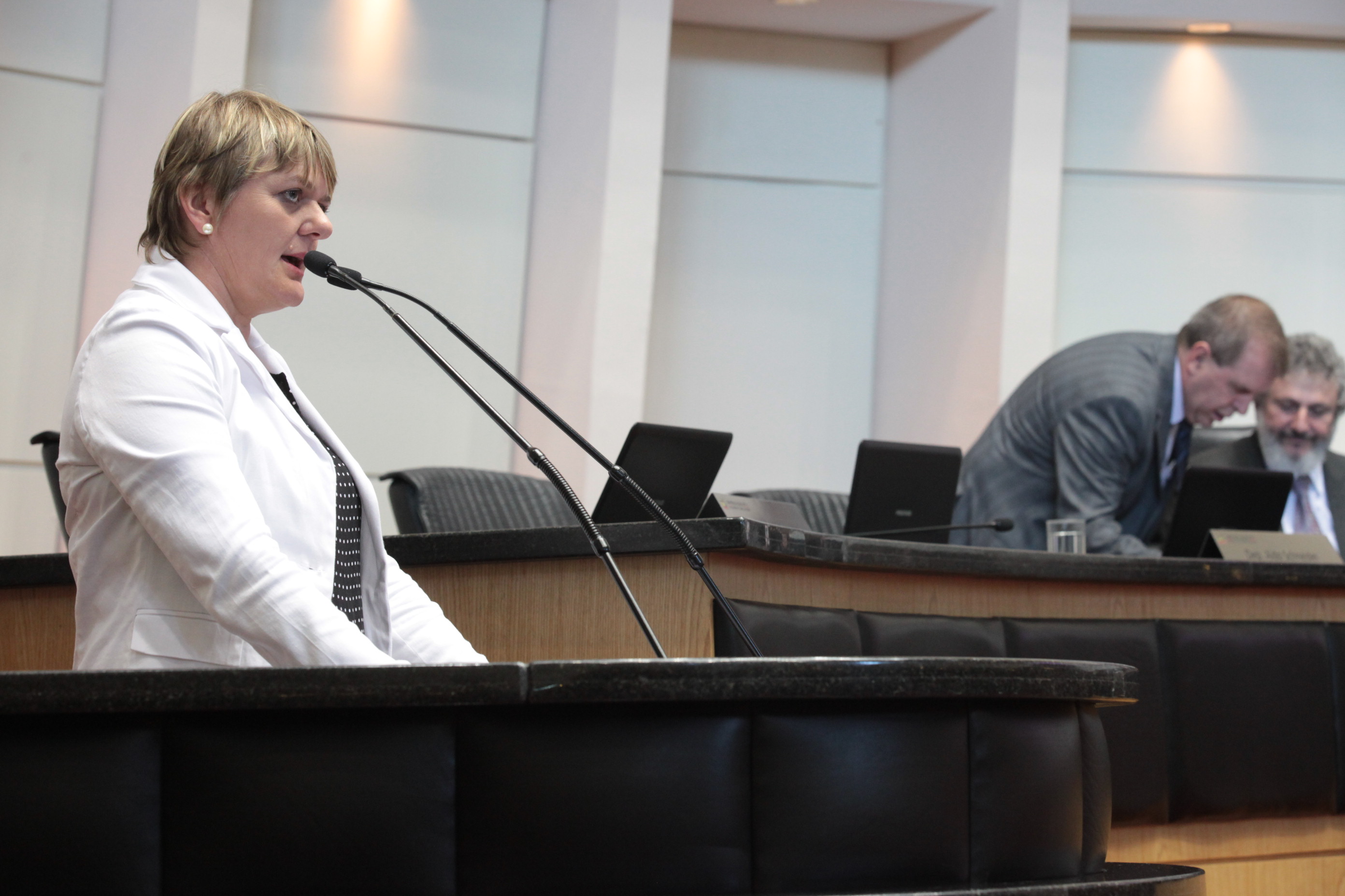 Sessão Ordinária. Deputada Luciane Carminatti (PT)