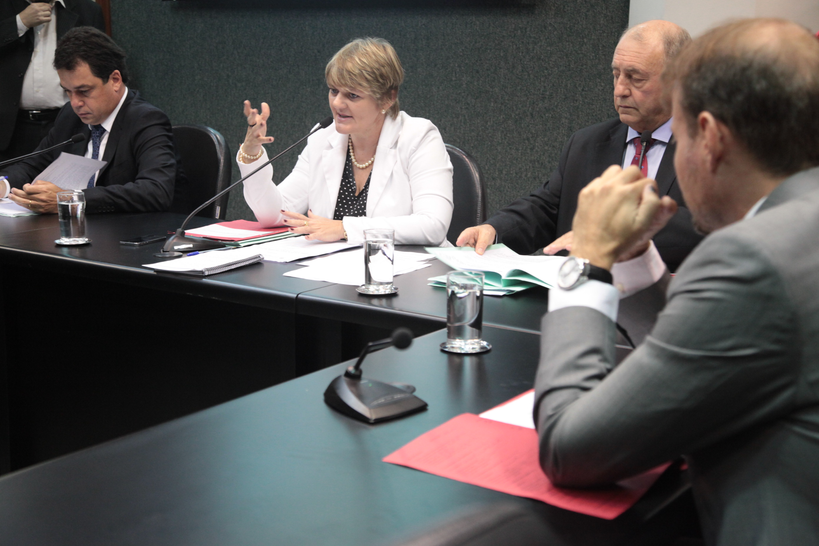 Comissão de Educação. Foto: Fábio Queiroz / Agência AL