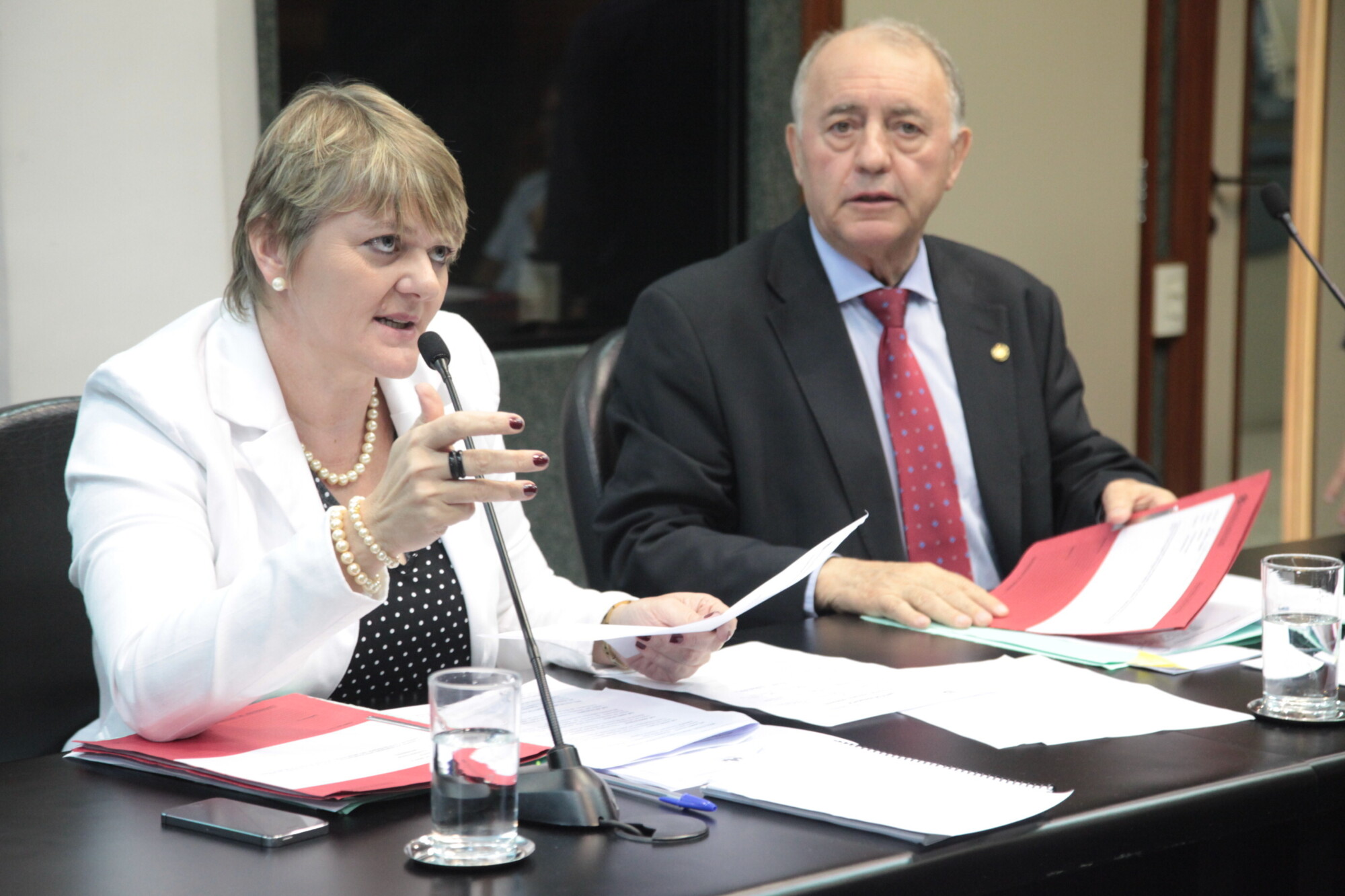 Deputada Luciane Carminatti