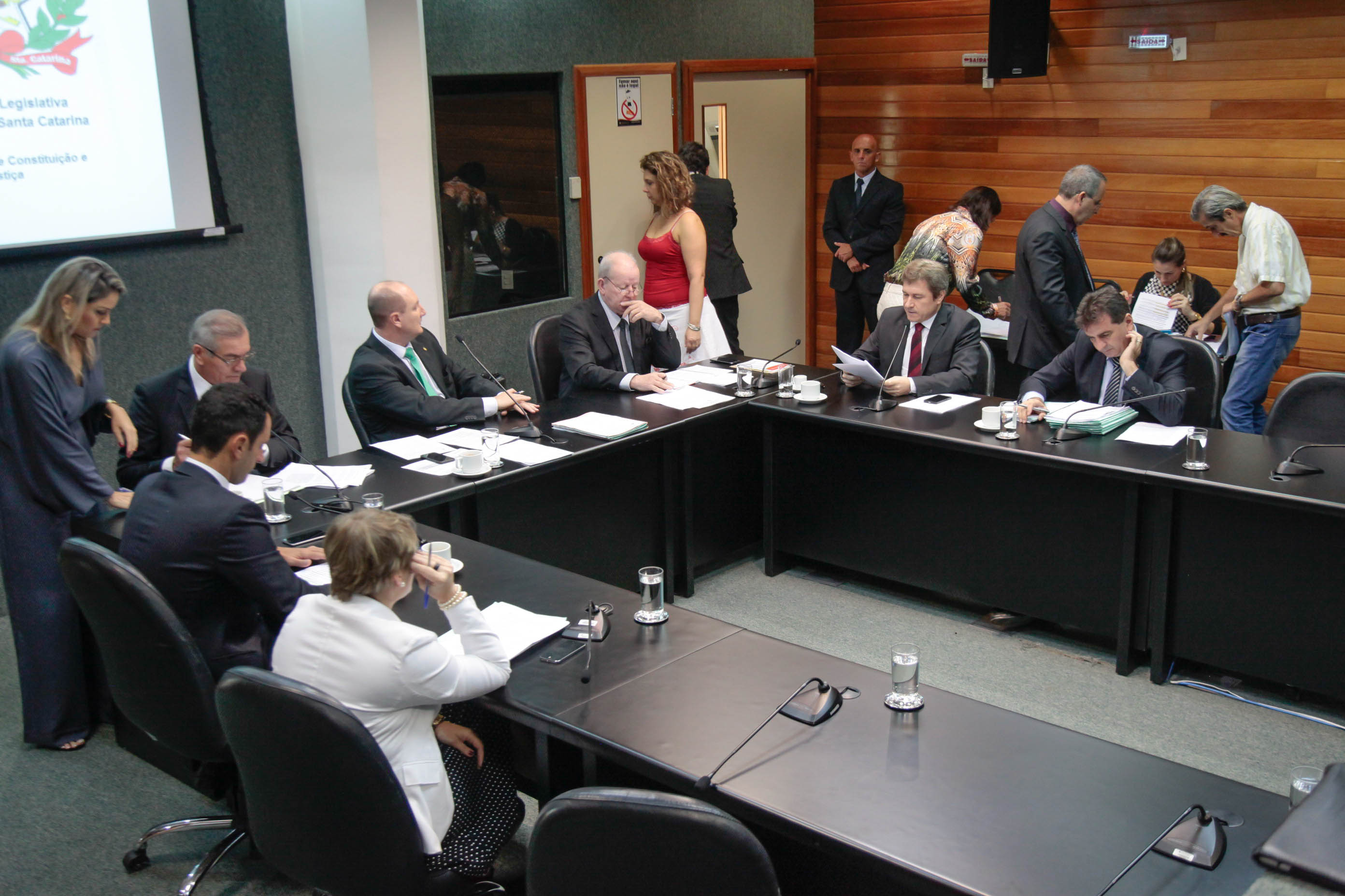 Comissão de Constituição e Justiça