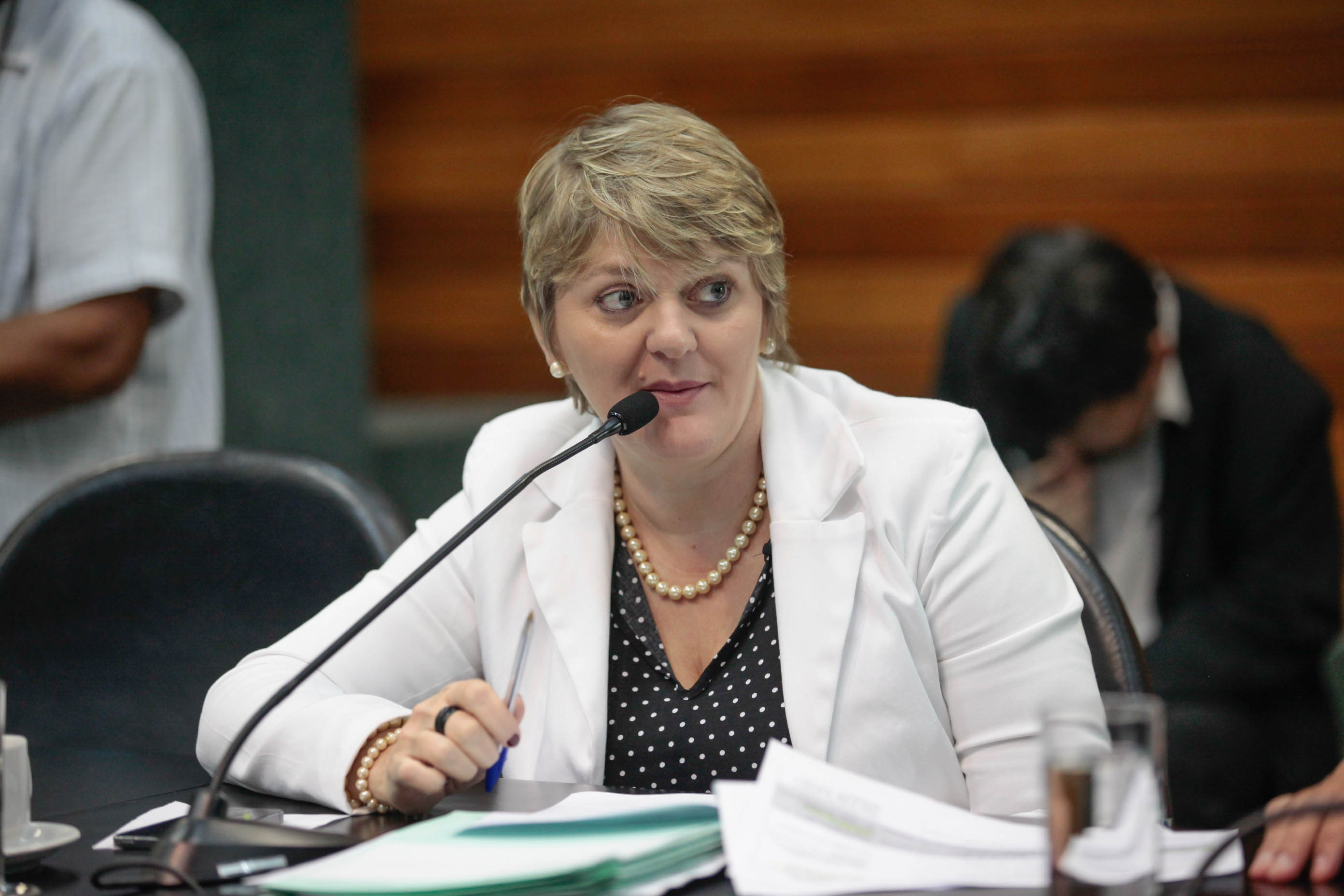 Deputada Luciane Carminatti (PT) em Comissão de Constituição e Justiça