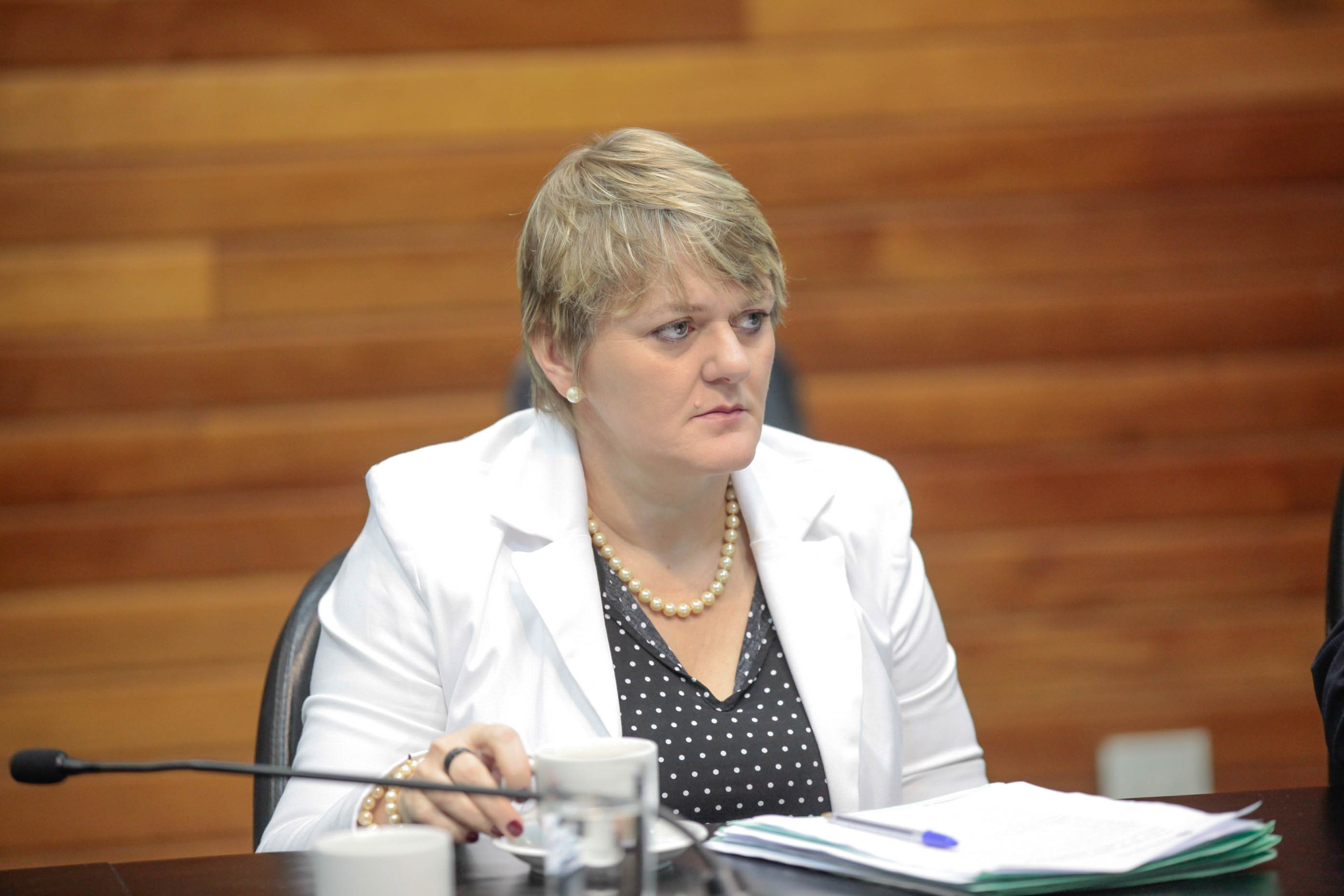 Deputada Luciane Carminatti (PT) em Comissão de Constituição e Justiça