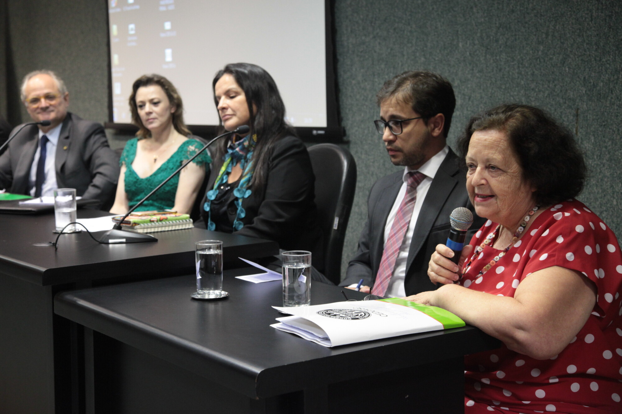 Elaine Paes Lima (ao microfone), coordenadora do Conselho Estadual dos Direitos da Criança e do Adolescente