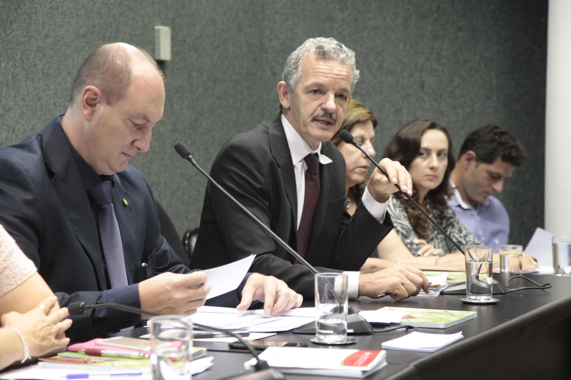 Audiência pública debateu projeto que institui tratamento simplificado para o microprodutor rural