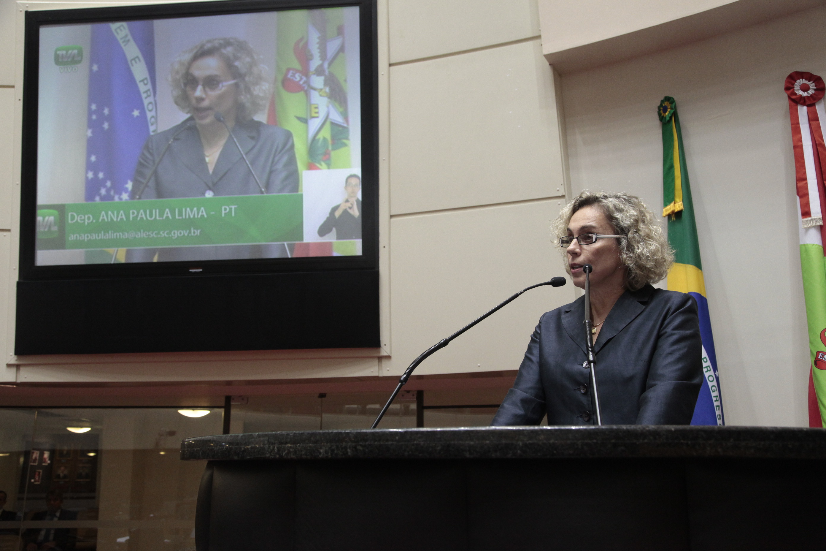 Sessão Ordinária. Deputada Ana Paula Lima (PT)