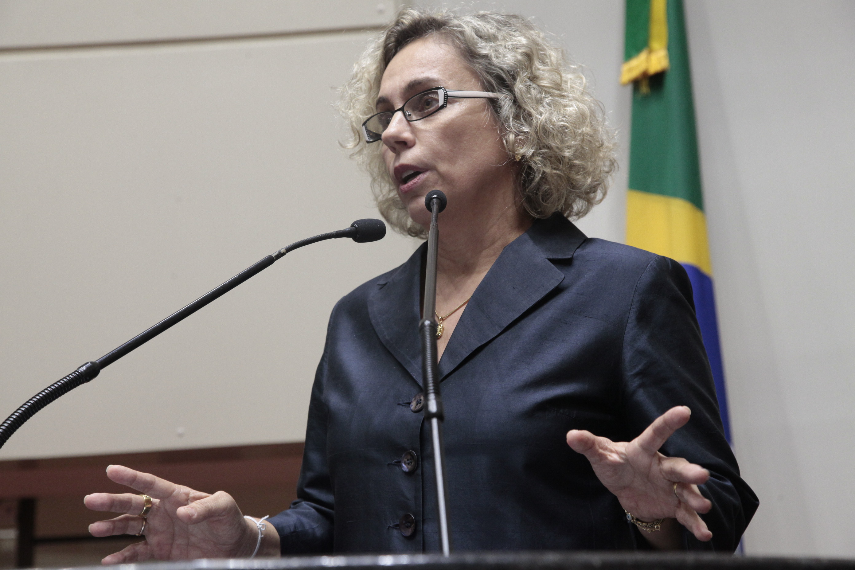 Sessão Ordinária. Deputada Ana Paula Lima (PT)