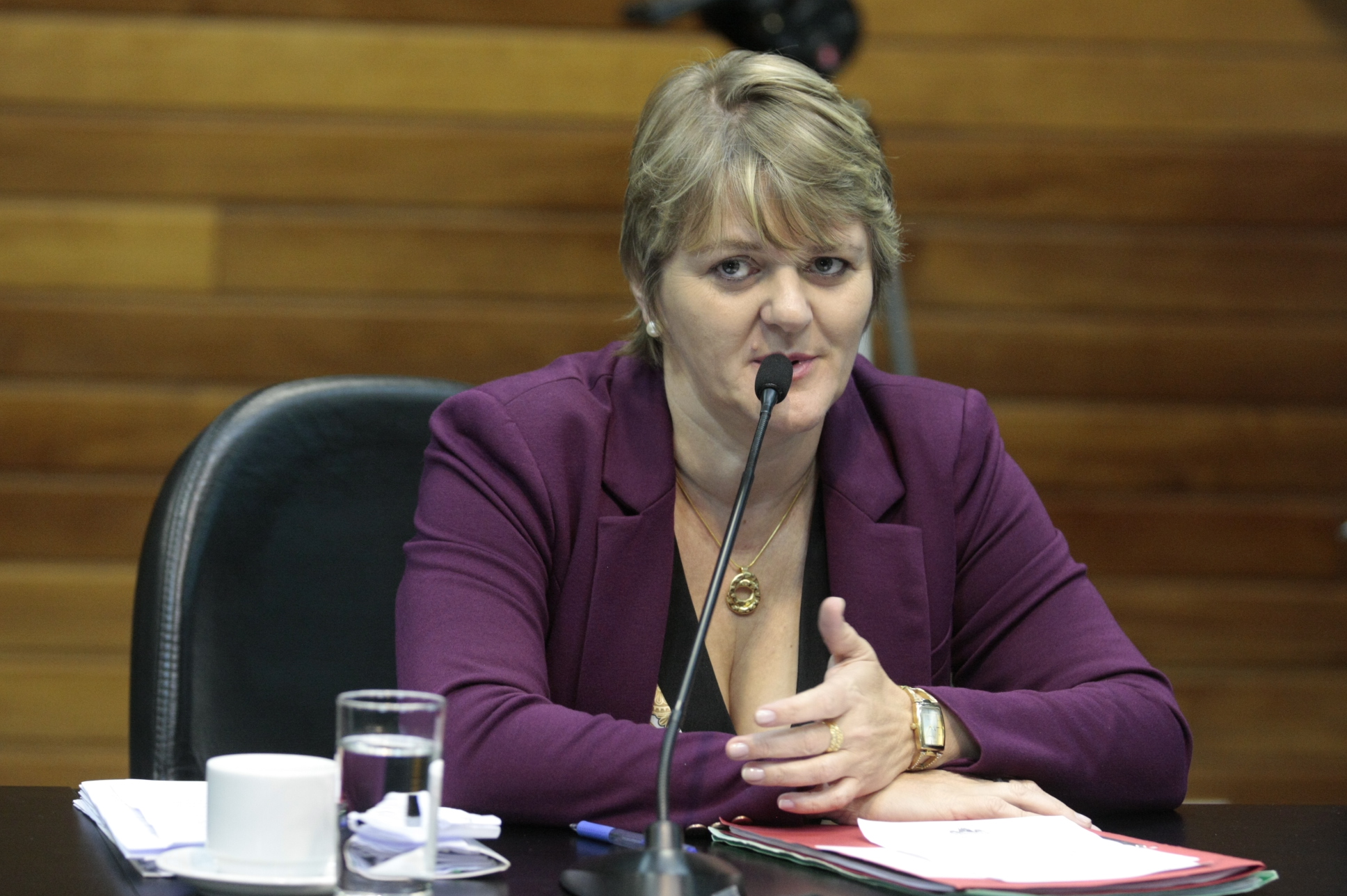 Reunião da Comissão de Constituição e Justiça. Deputada Luciane Carminatti (PT). Foto: Yuri Santos / Agência AL