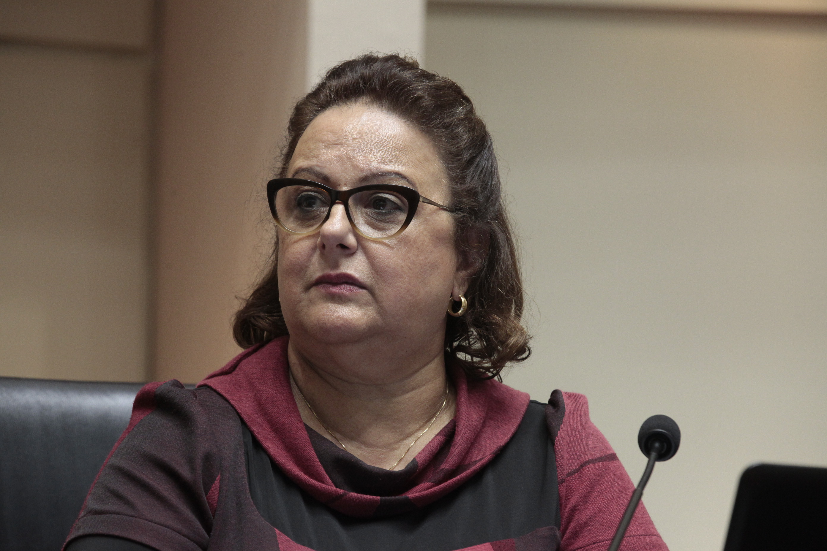 Sessão Ordinária. Deputada Dirce Heiderscheidt (PMDB)