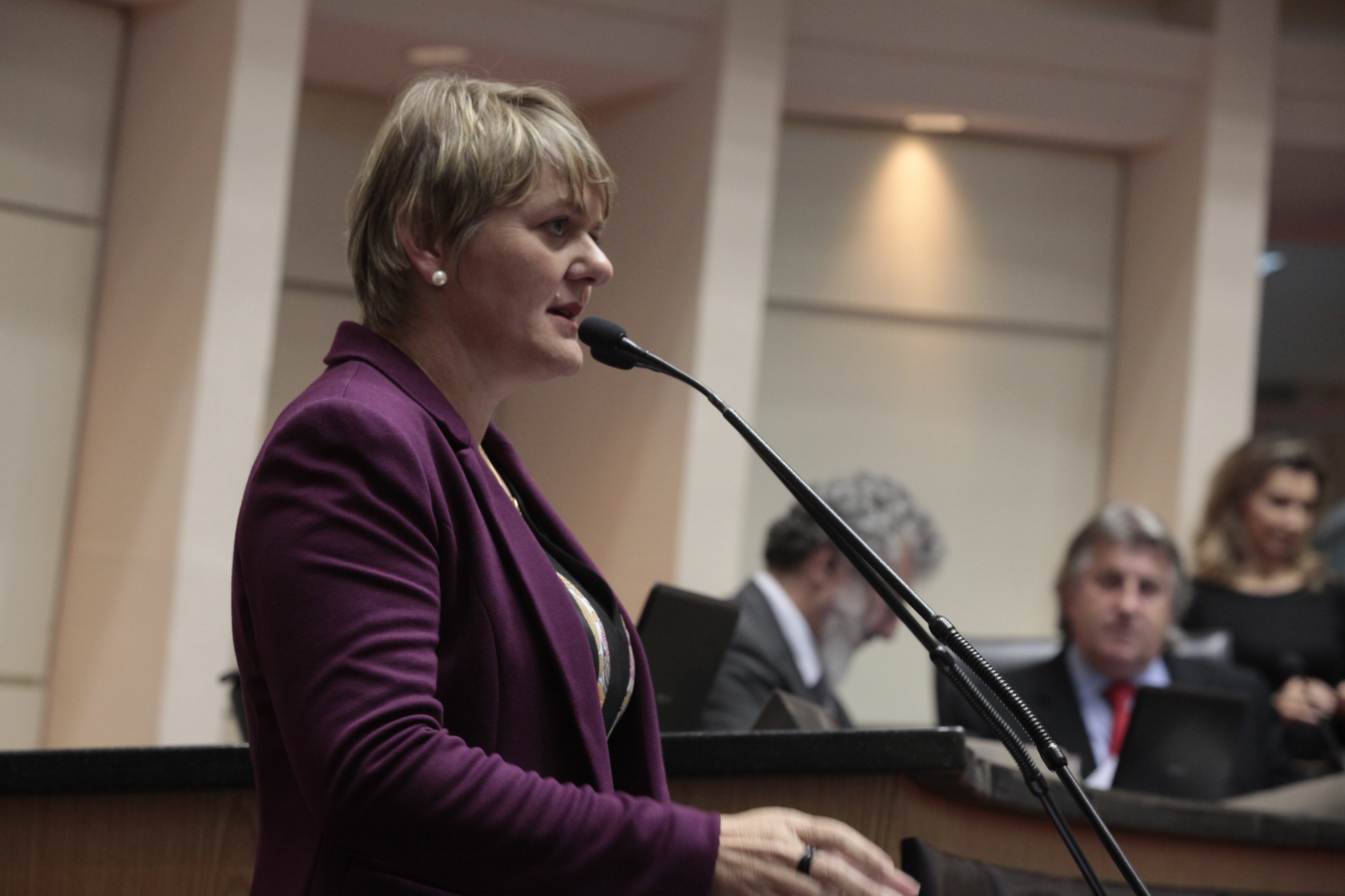 Sessão Ordinária. Deputada Luciane Carminatti (PT)