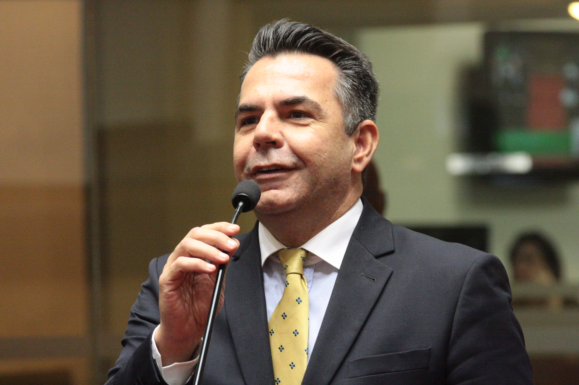 Sessão Ordinária. Deputado Luiz Fernando Vampiro (PMDB)