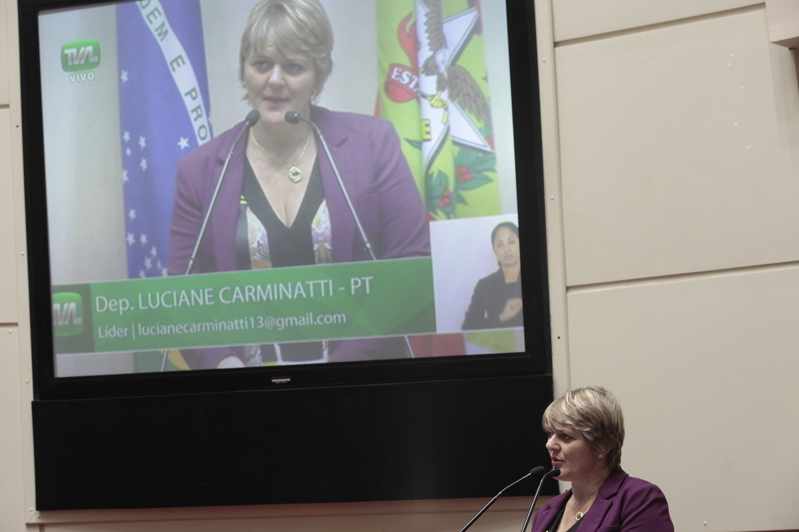 Sessão Ordinária. Deputada Luciane Carminatti (PT)